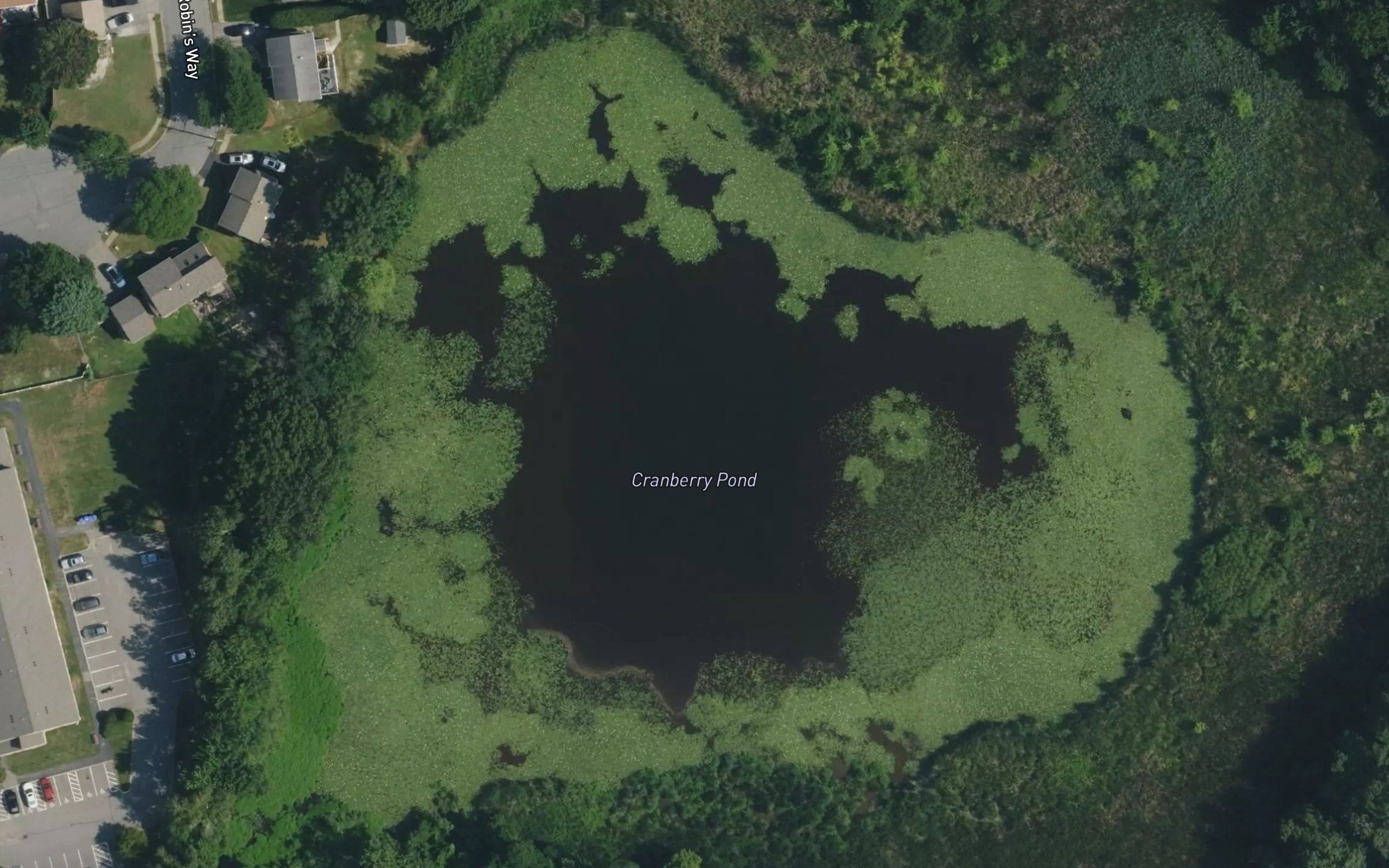 Cranberry Pond