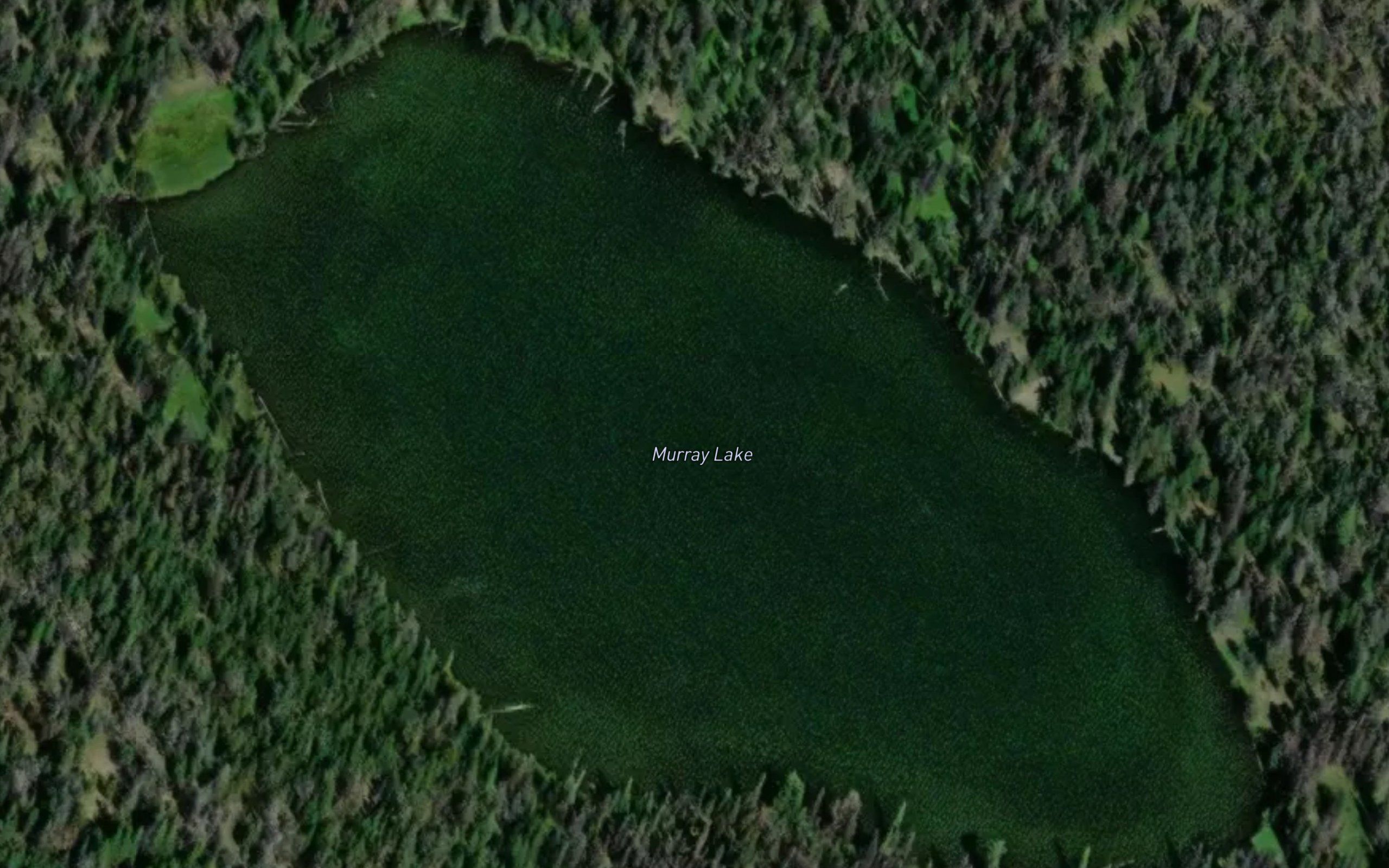 Murray Lake