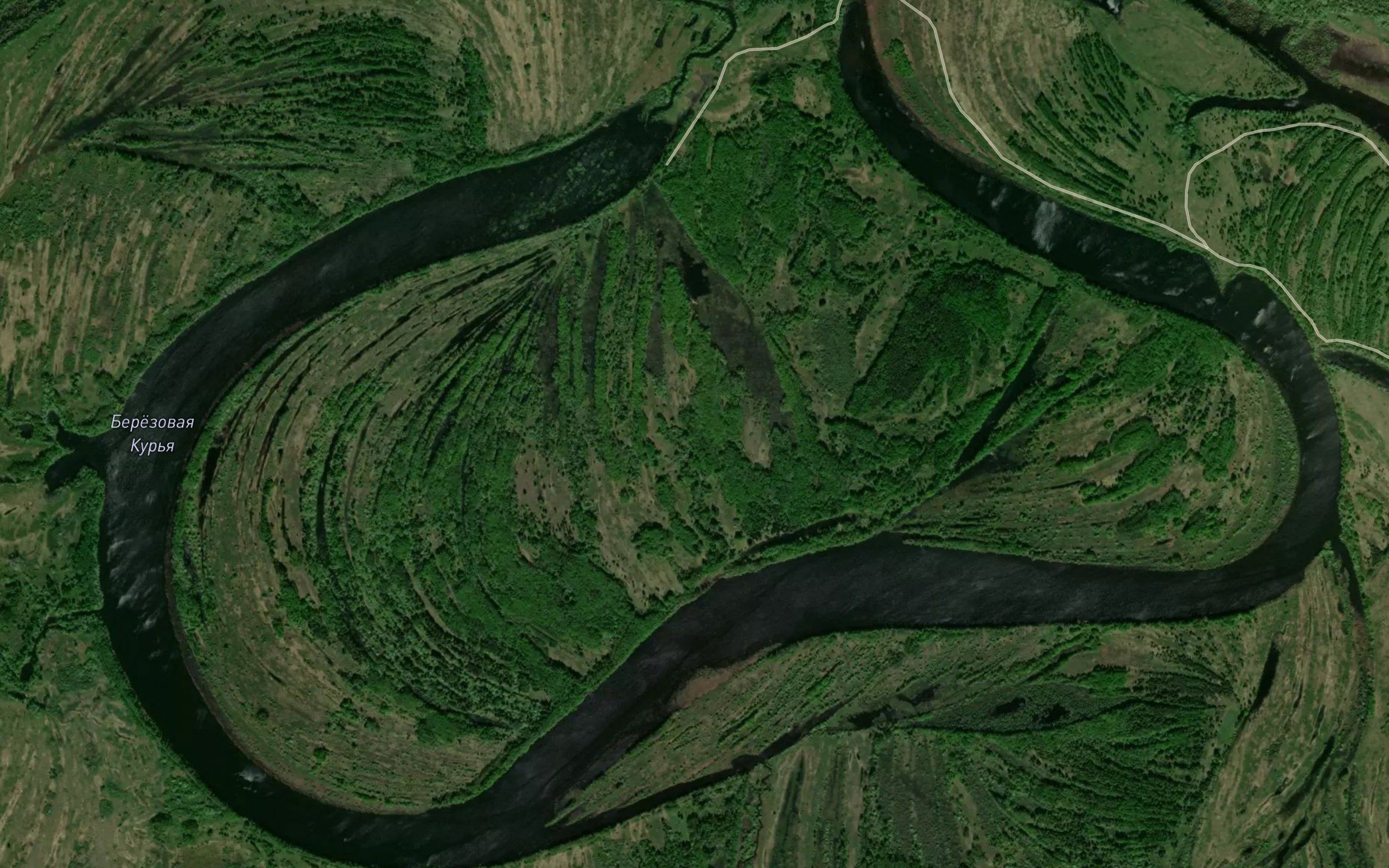 Ozero Berezovaya Kur'ya