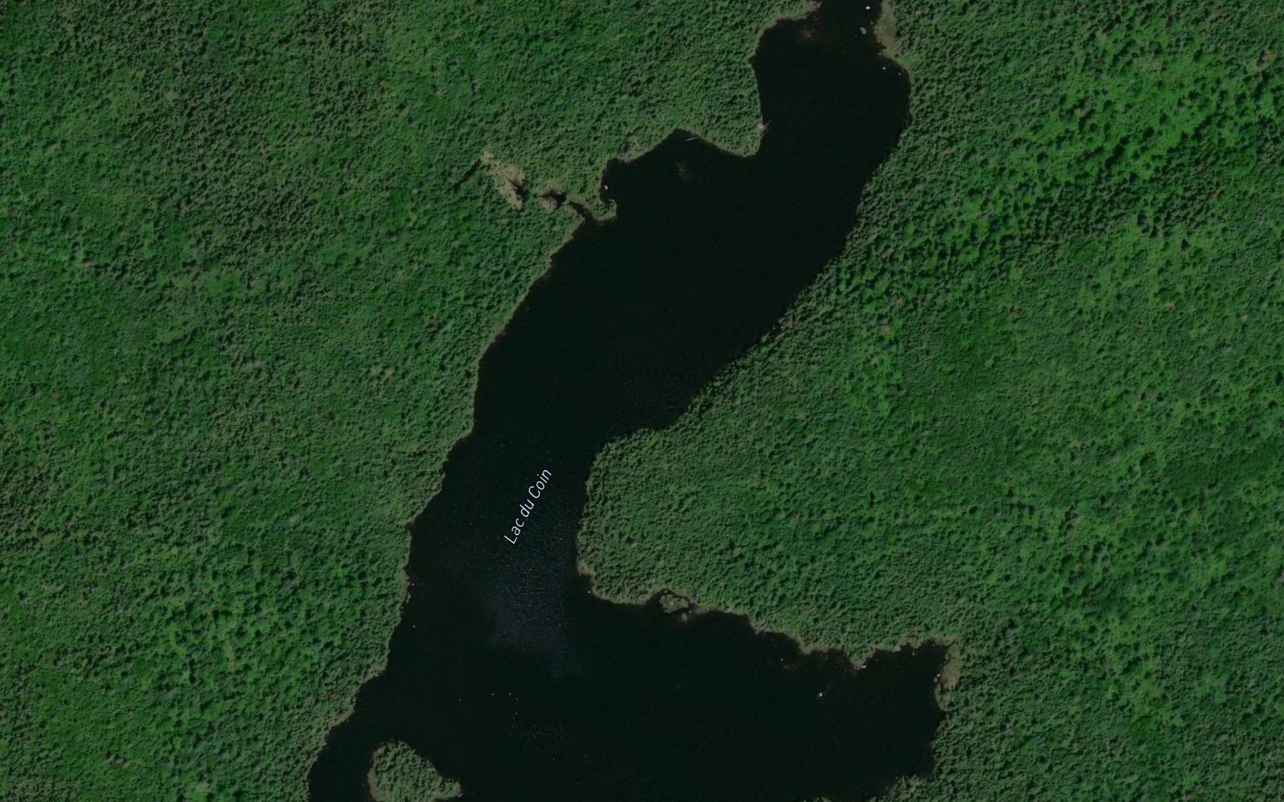Satellite map of the Lac du Coin
