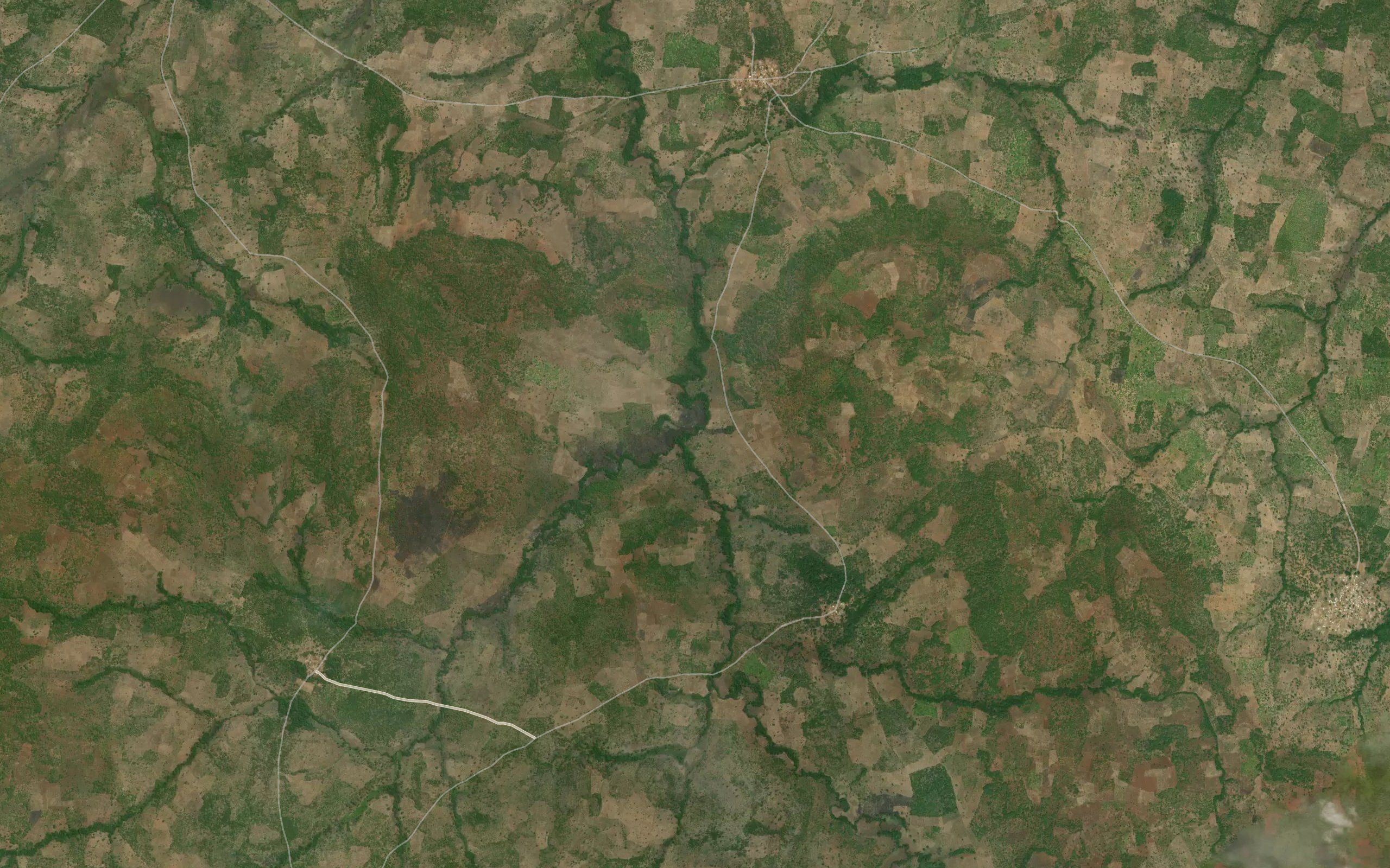 Tienko