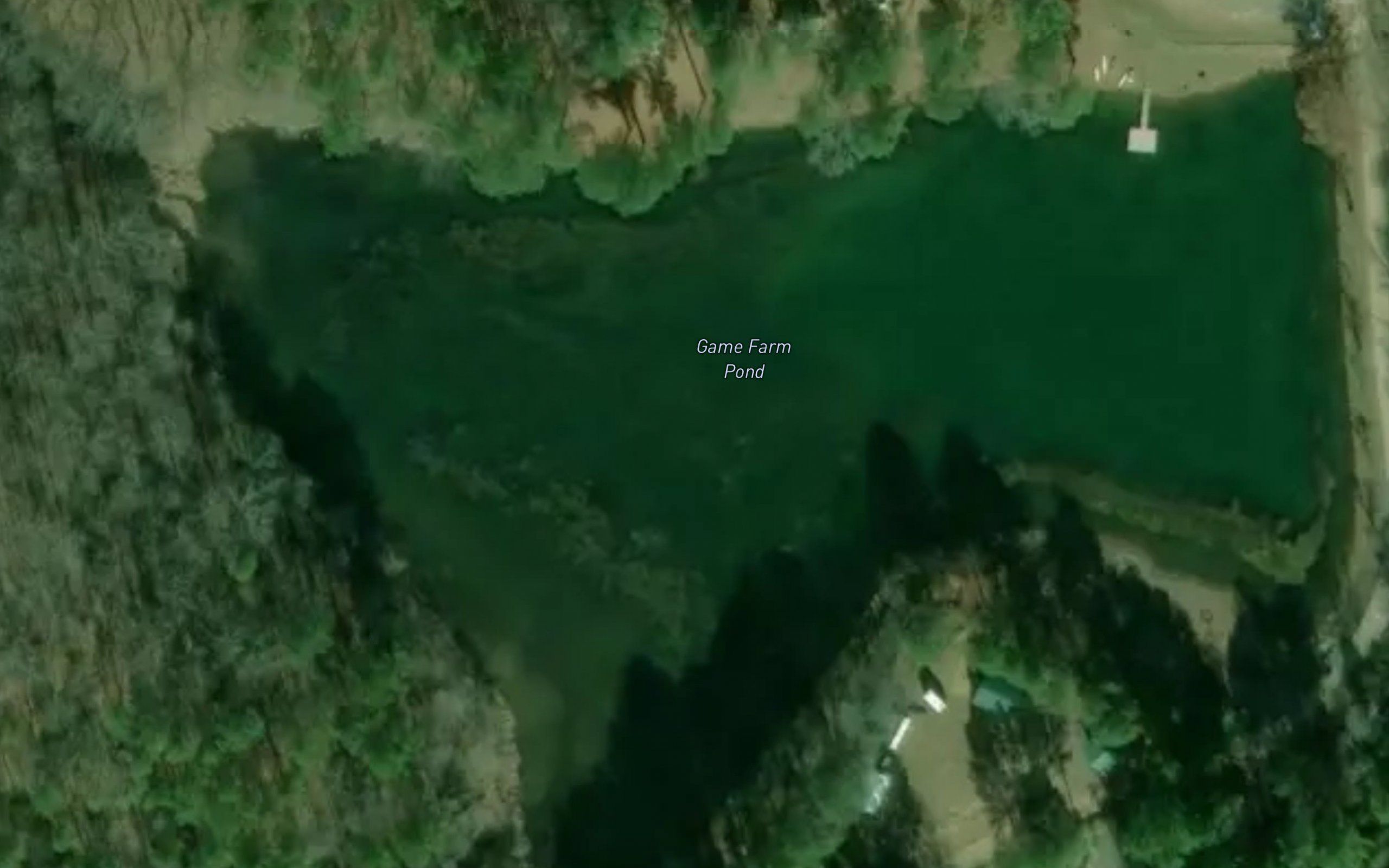 Game Farm Pond