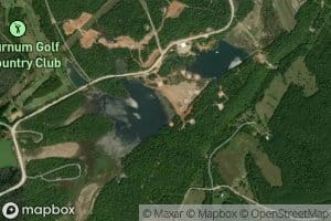 Intermediate Viburnum Tailings Pond