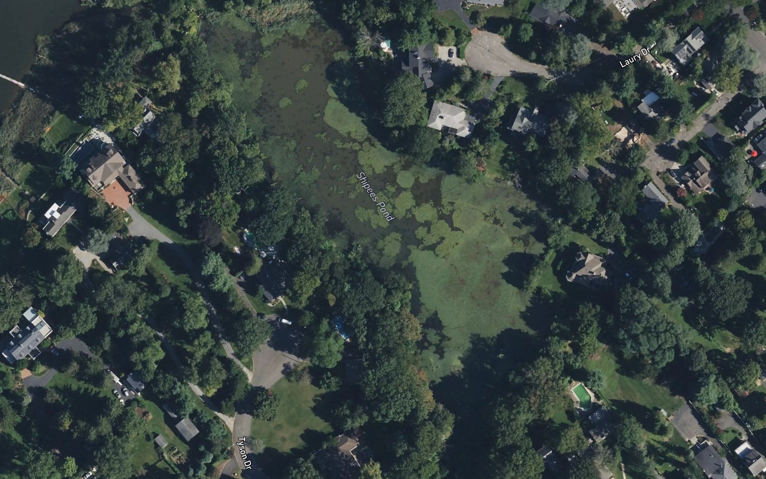 Shippees Pond