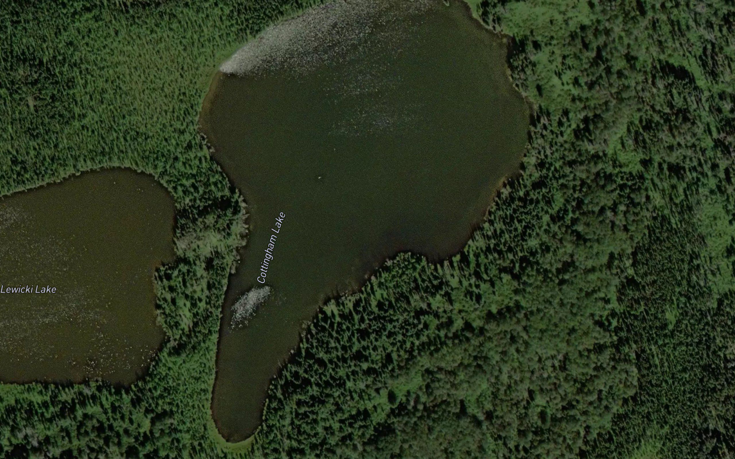 Cottingham Lake