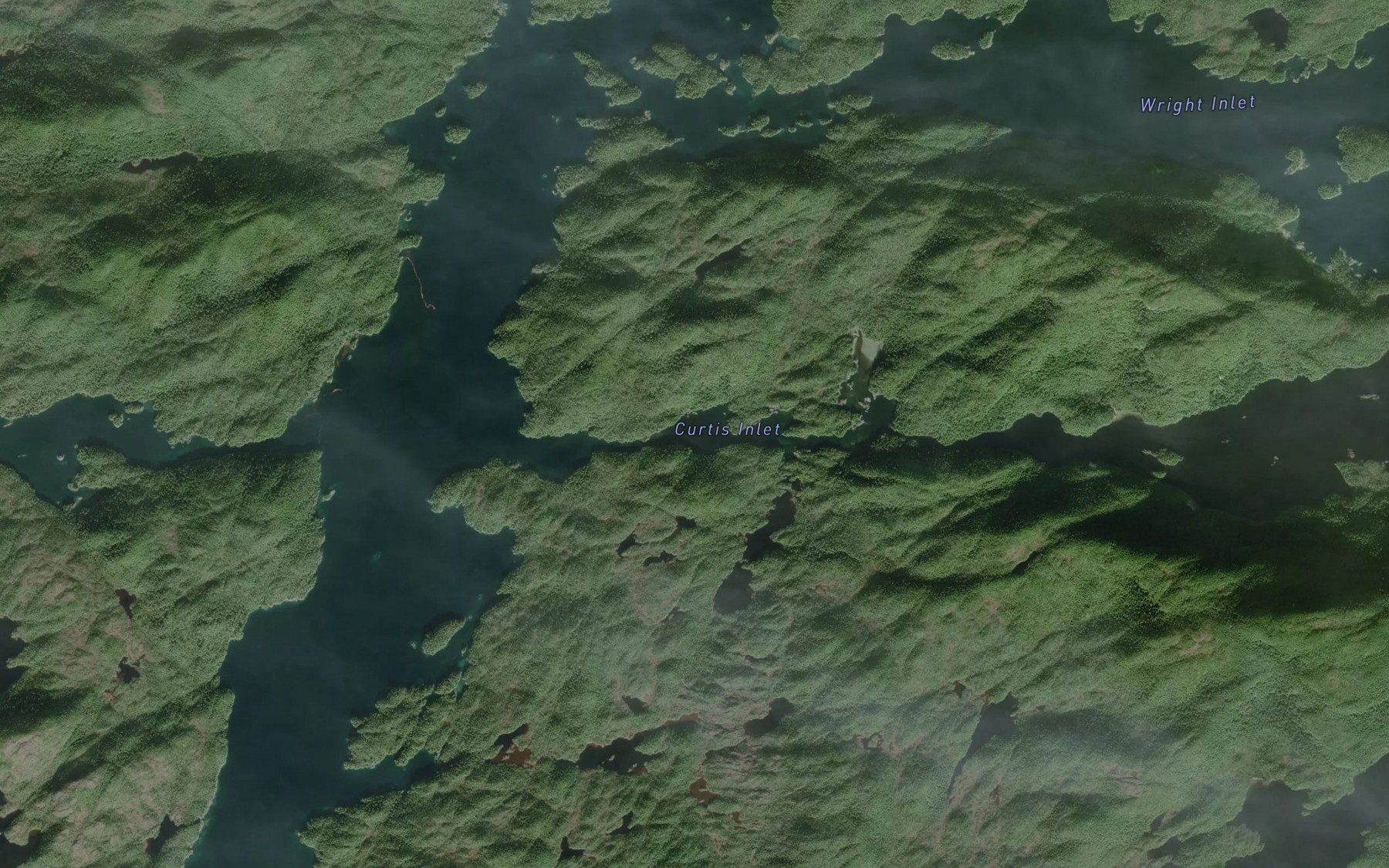 Satellite map of the Curtis Inlet