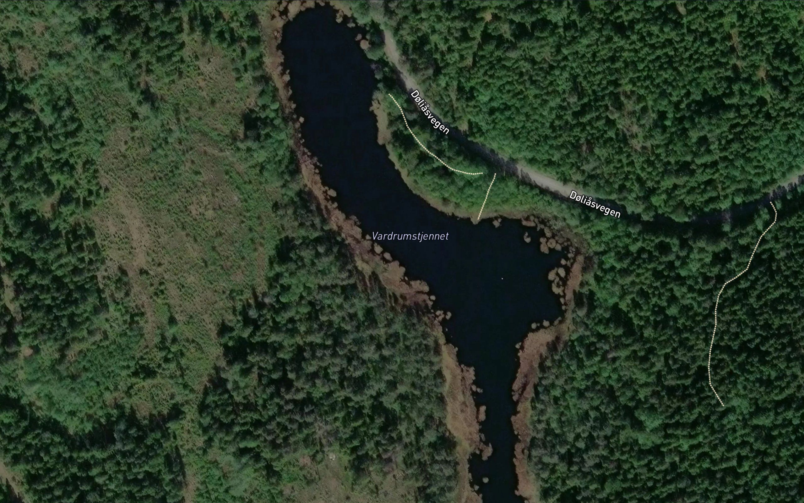 Vardrumstjernet