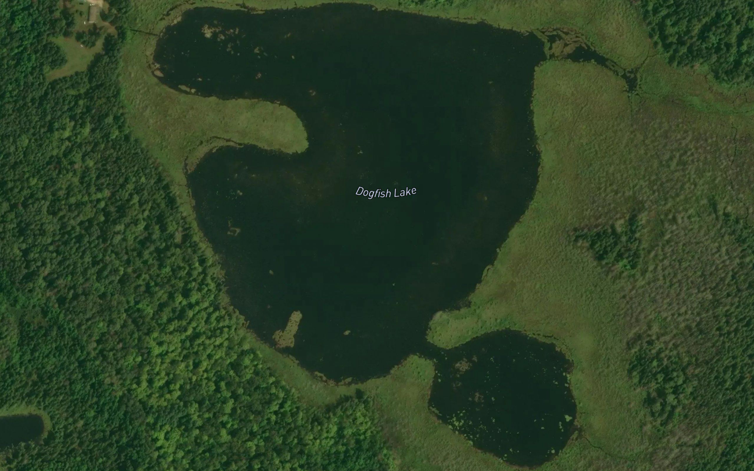 Dogfish Lake