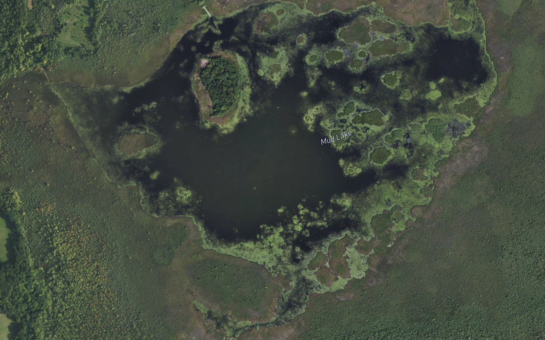 Satellite map of the Mud Lake