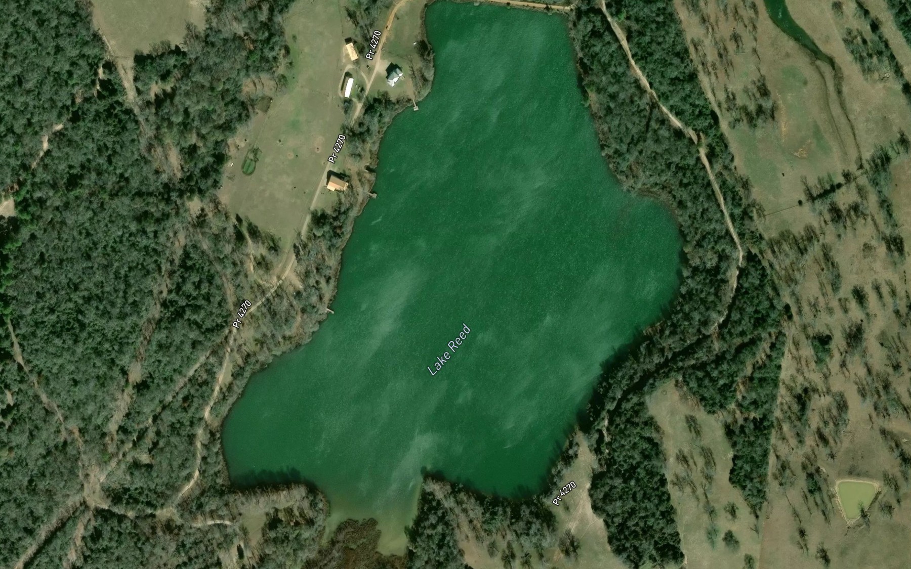 Satellite map of the Lake Reed