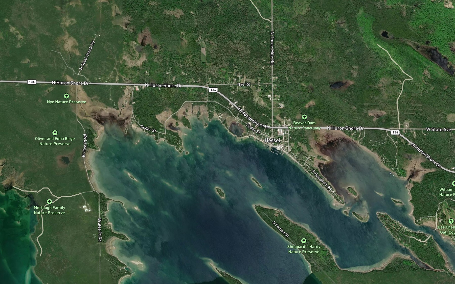 Hessel Bay Fishing in Michigan 2026 — Live Reports, Forecast & AI ...