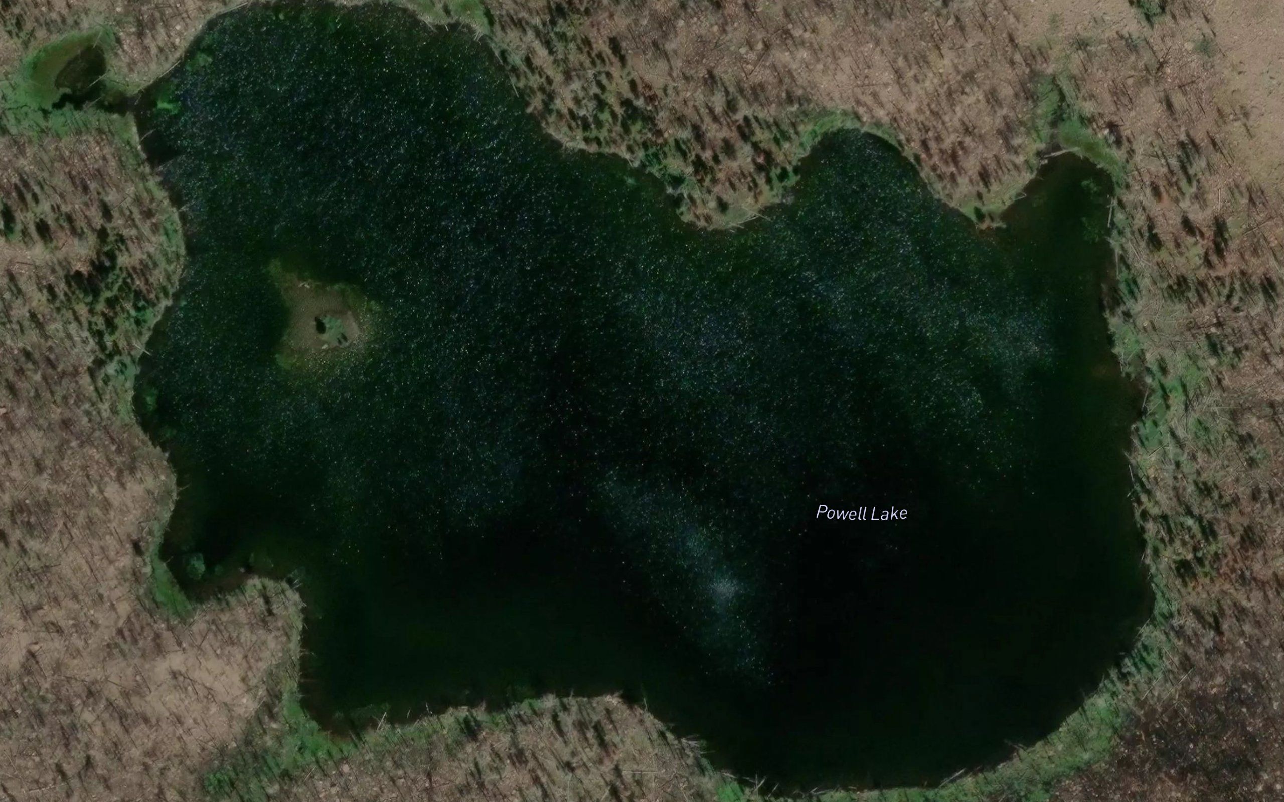 Powell Lake