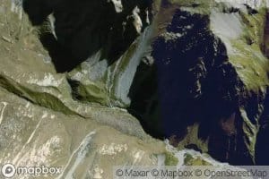 Whale Stream
