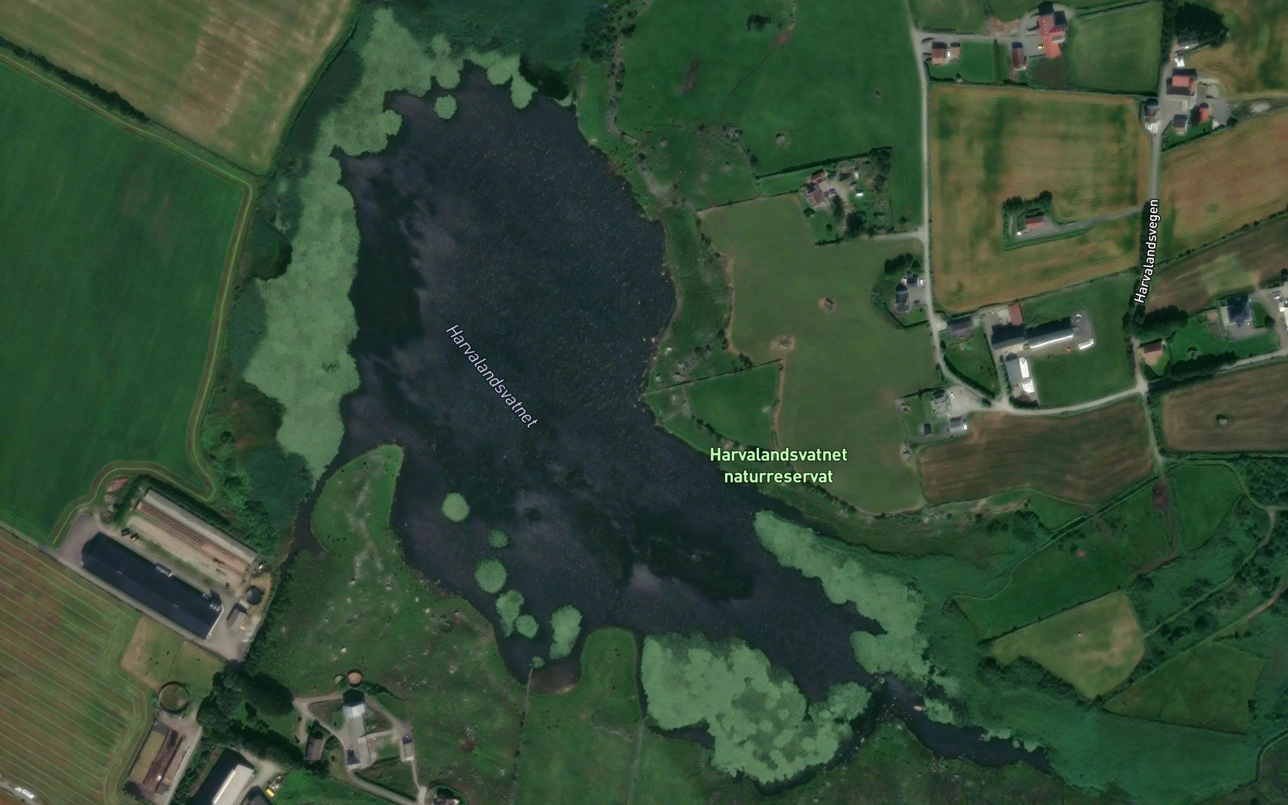 Harvalandsvatnet
