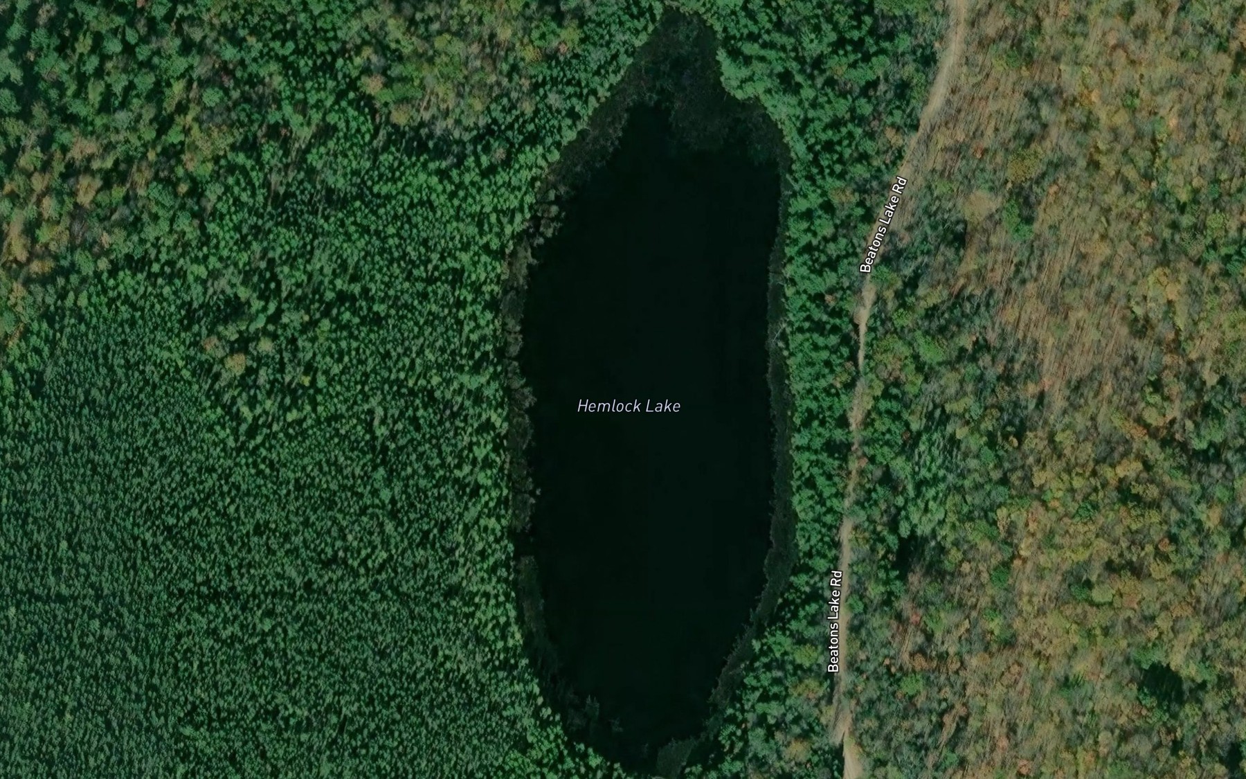 Satellite map of the Hemlock Lake