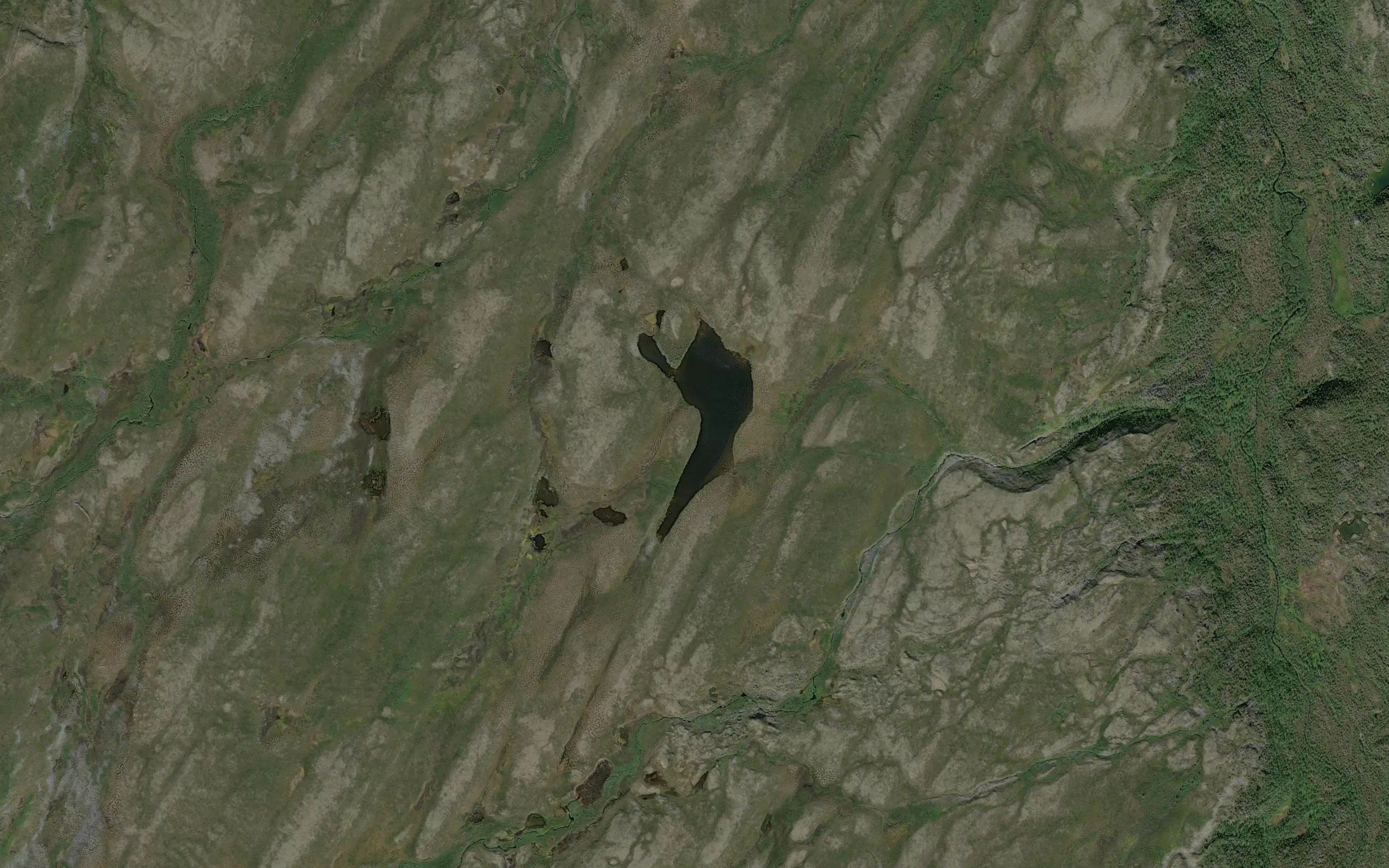 Nilutjavri
