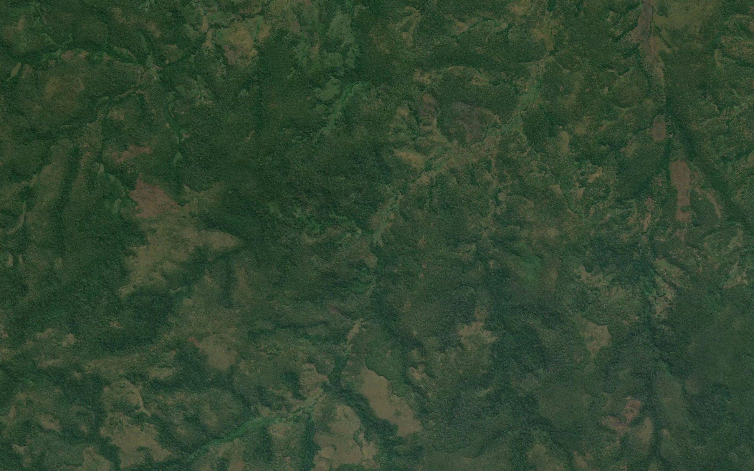 Quimaongo