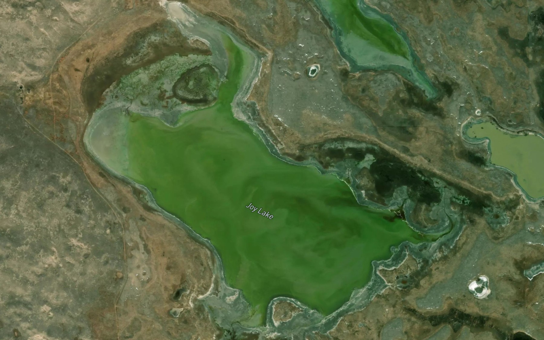 Satellite map of the Joy Lake