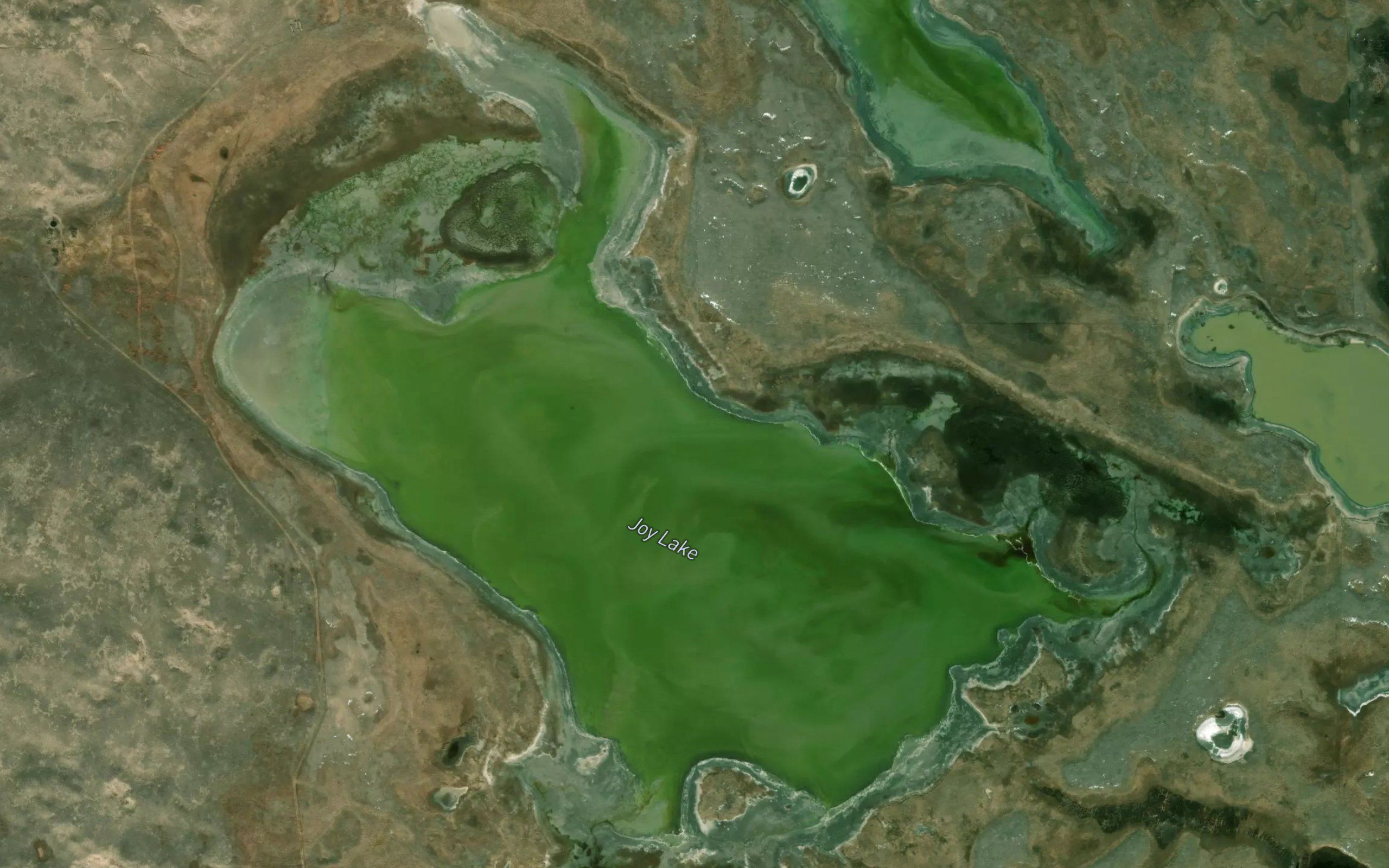 Joy Lake