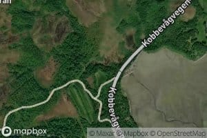 Djupvagelva