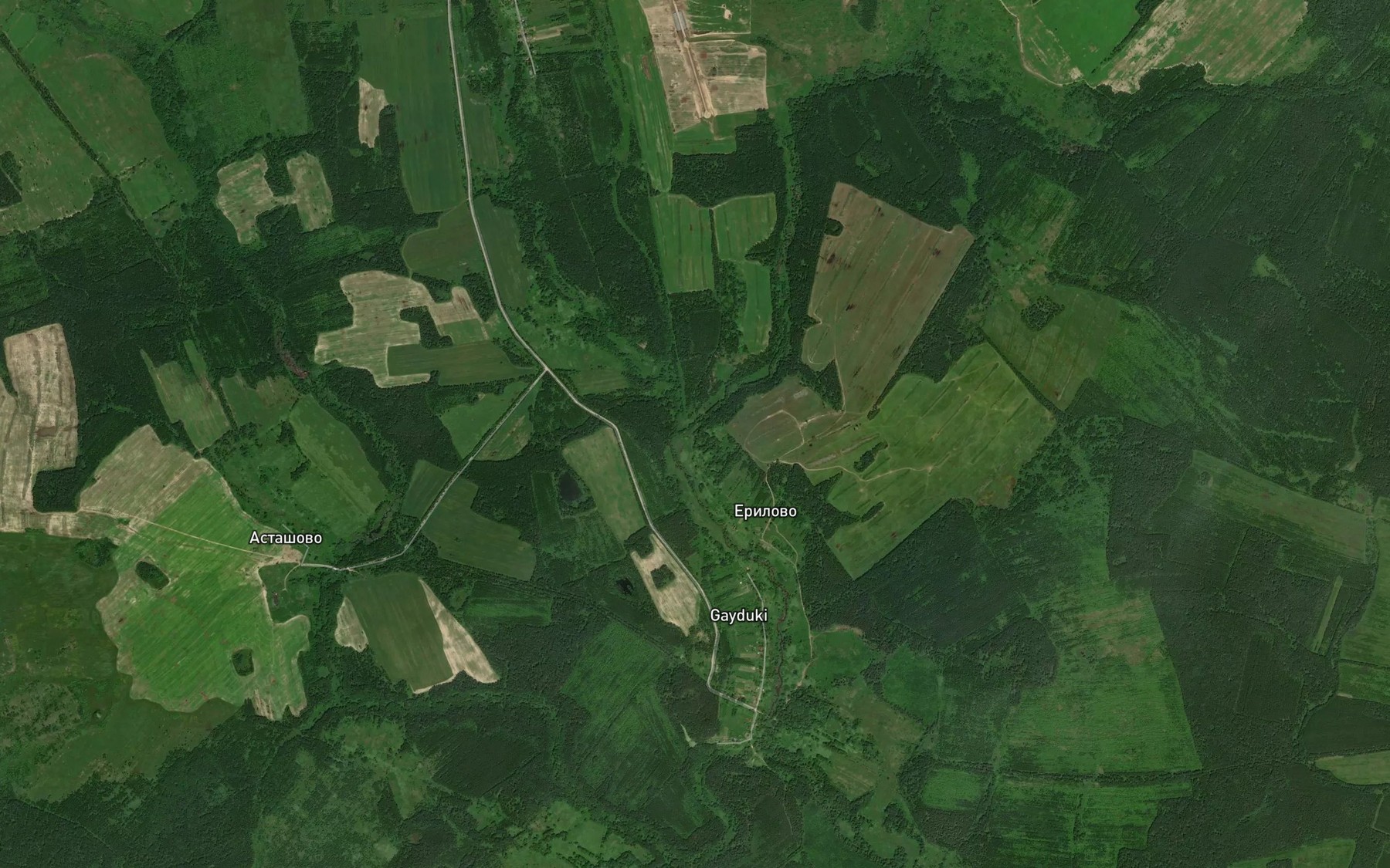 Satellite map of the Sazhinka