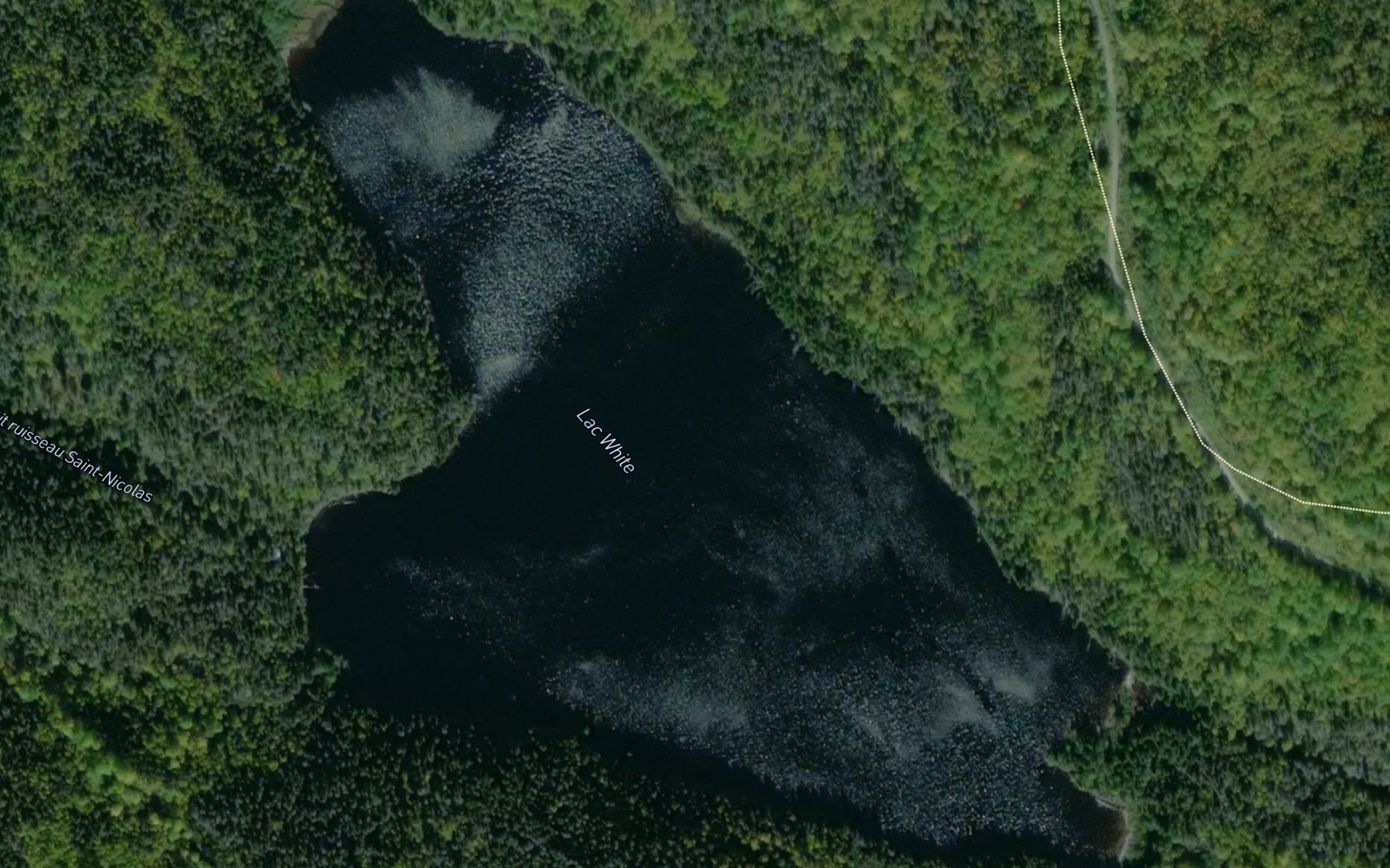 Satellite map of the Lac White