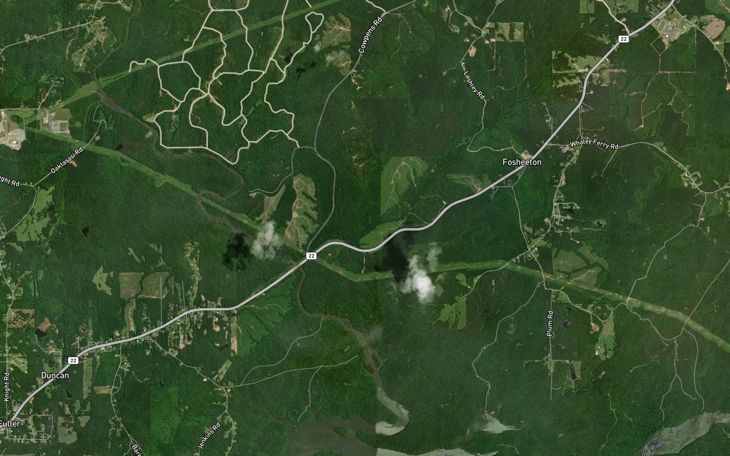 Turkey Branch