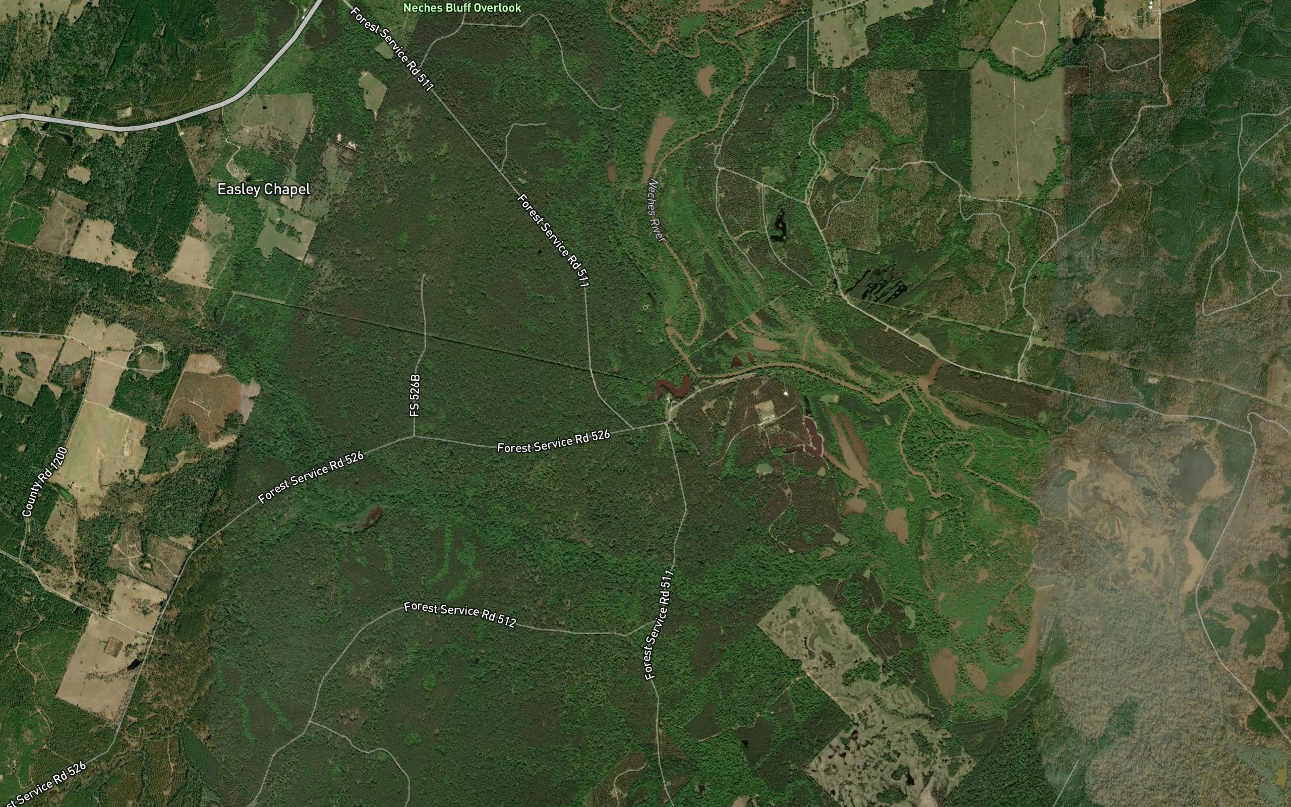 Bluff Creek