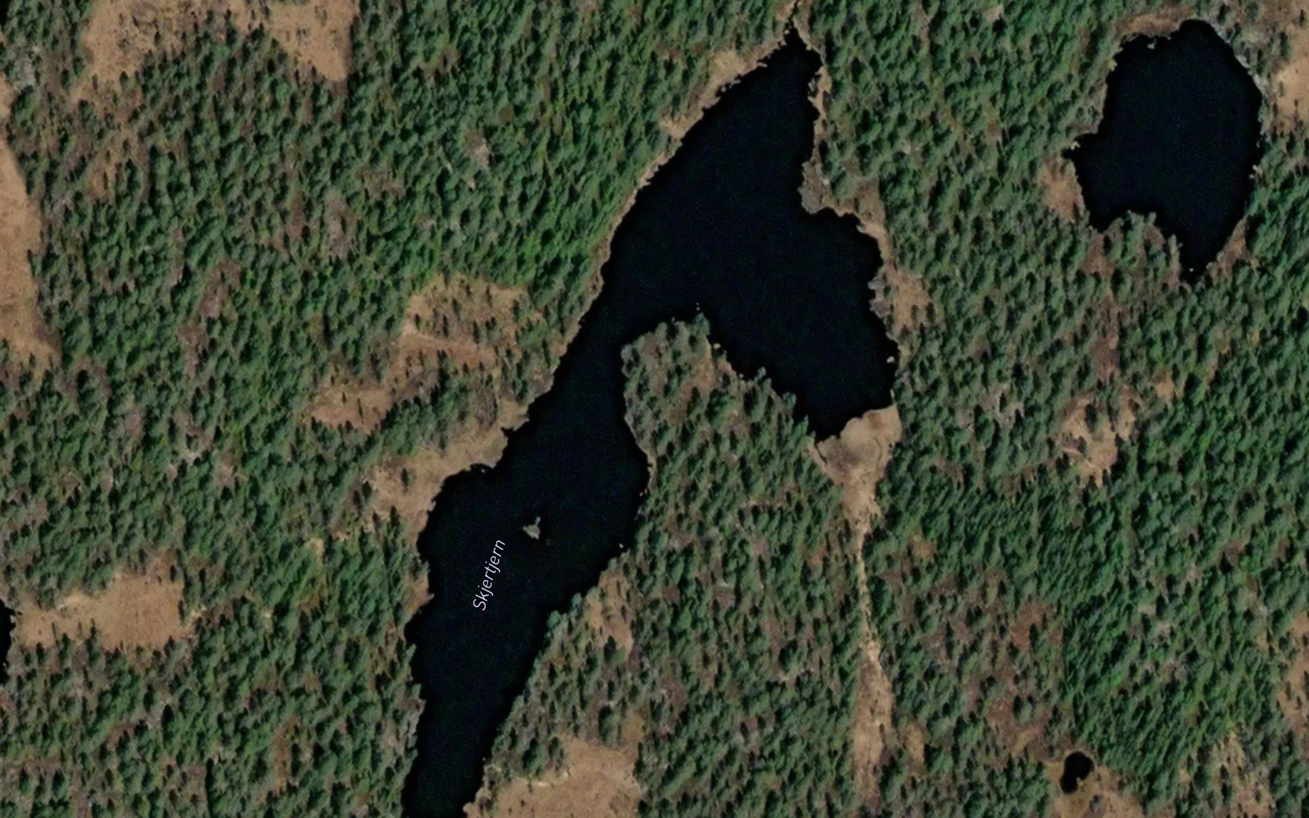 Skjertjern