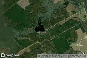 Mulberry Picnic Pond