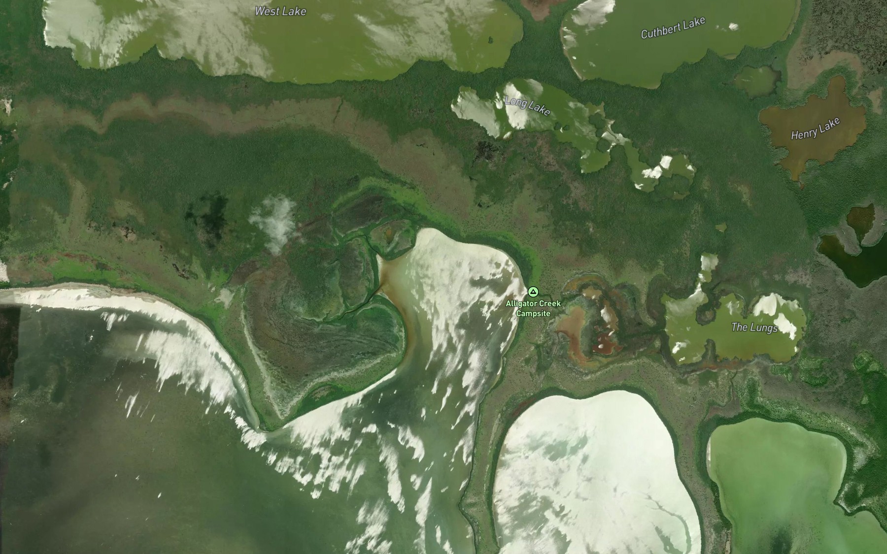 Satellite map of the Garfield Bight