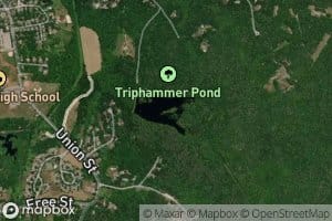 Triphammer Pond