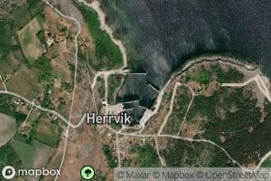 Herrviken