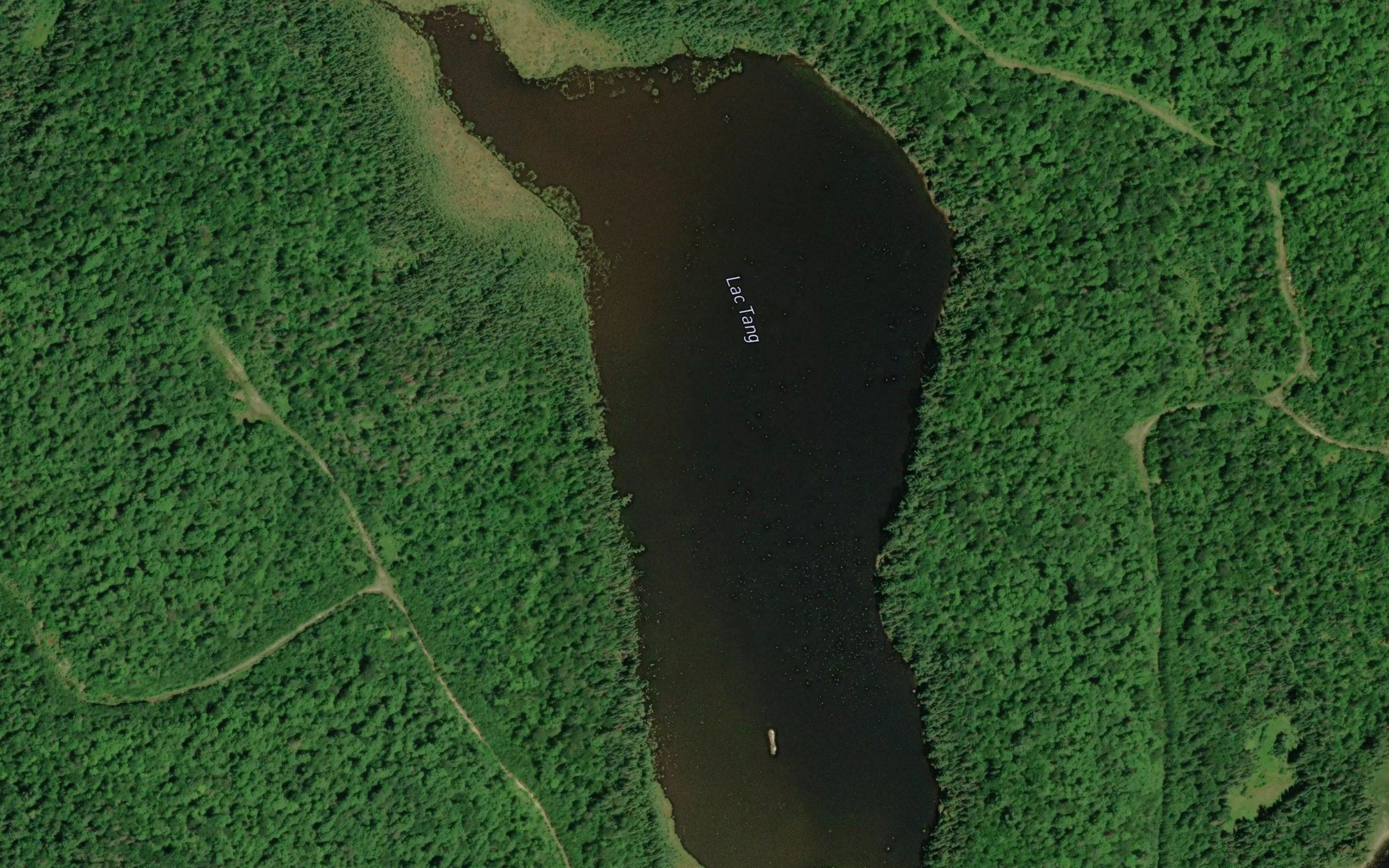 Lac Tang