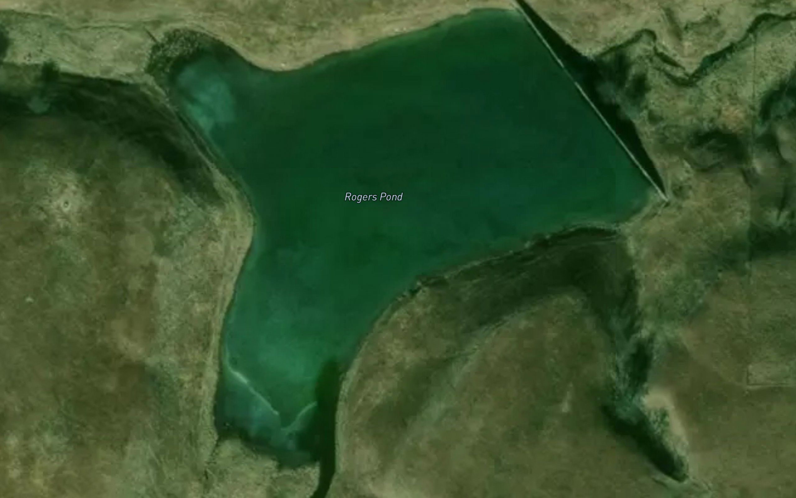 Rogers Pond