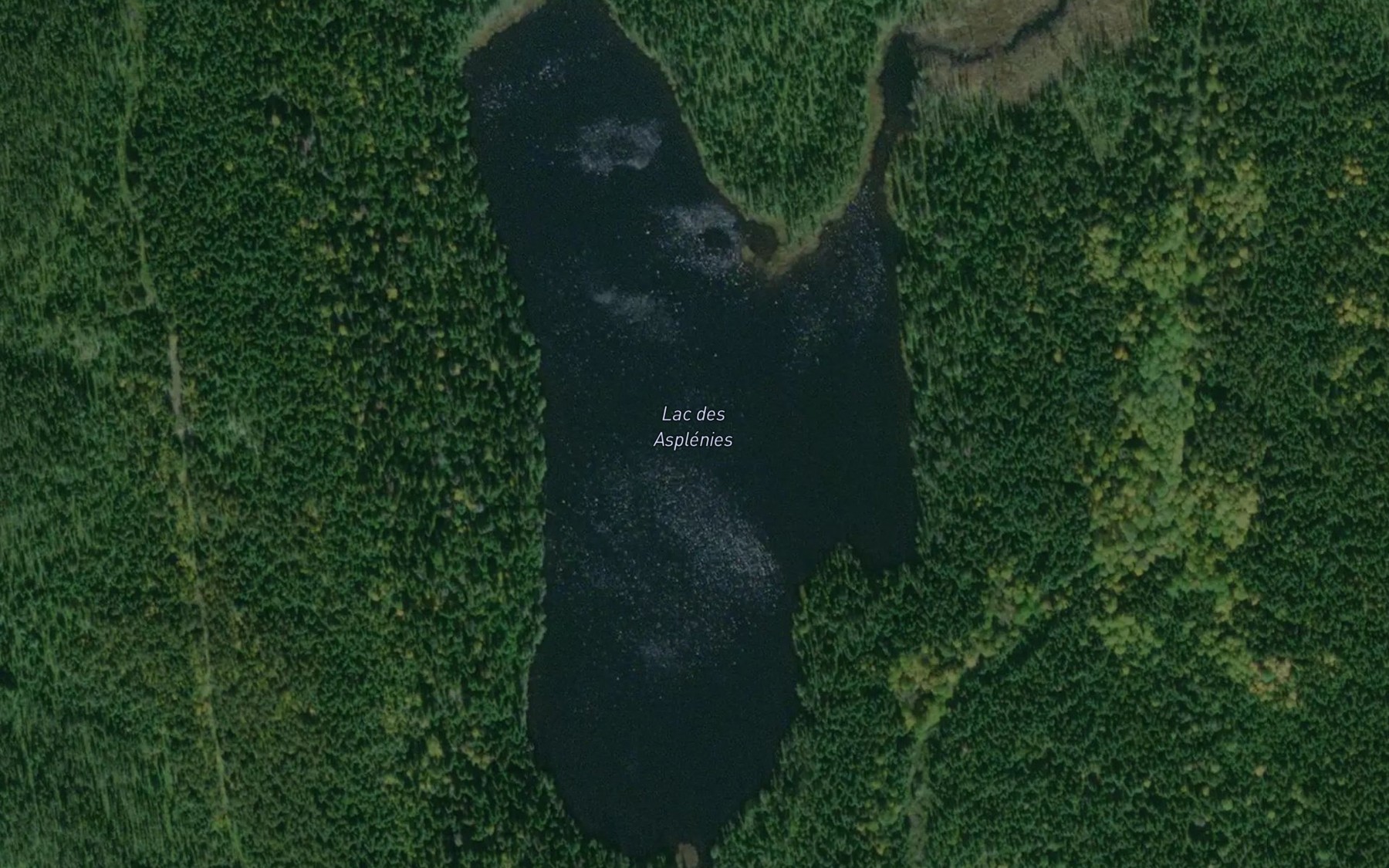 Satellite map of the Lac des Asplenies