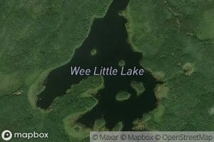 Wee Little Lake