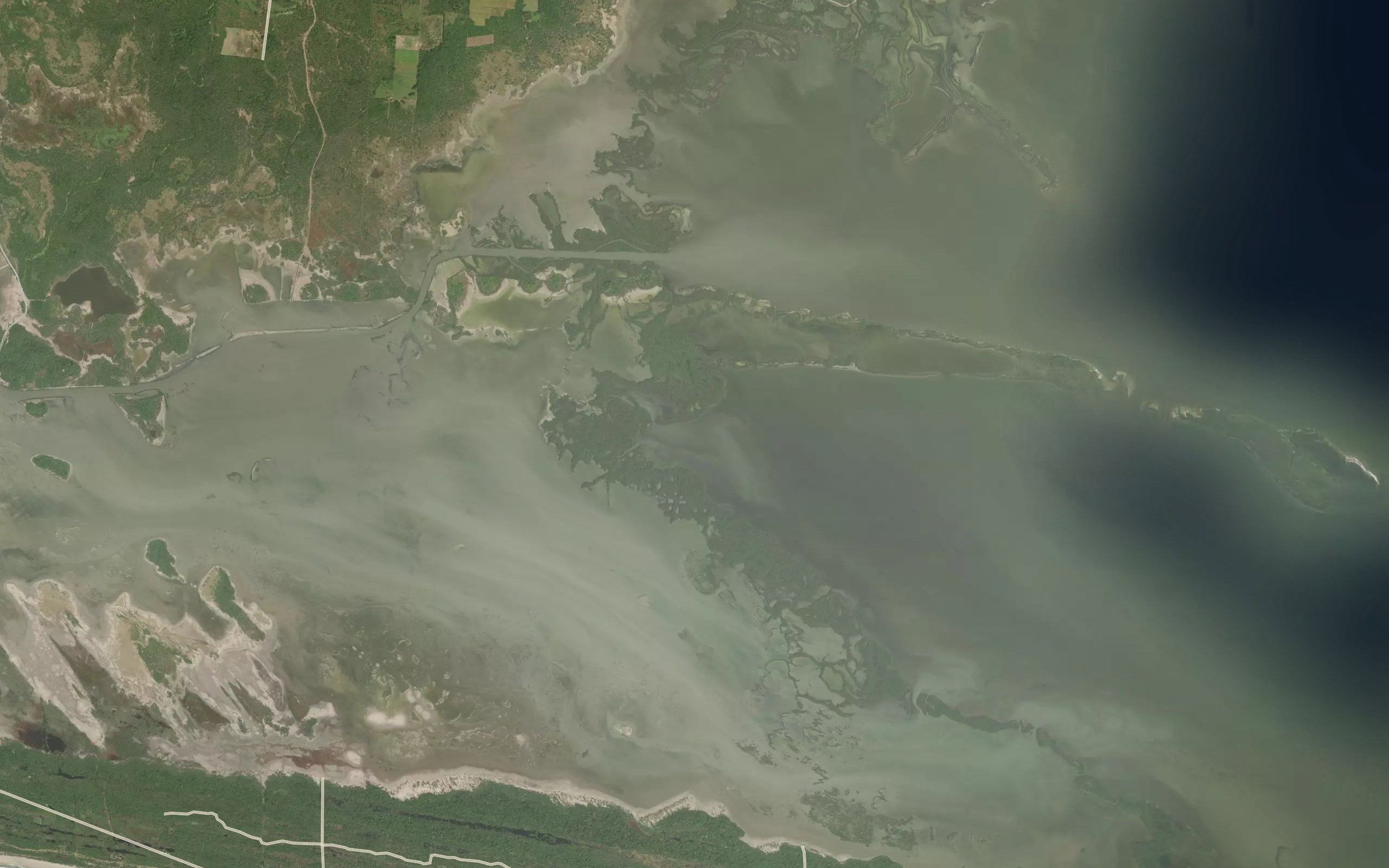 Estero Culito del Mar