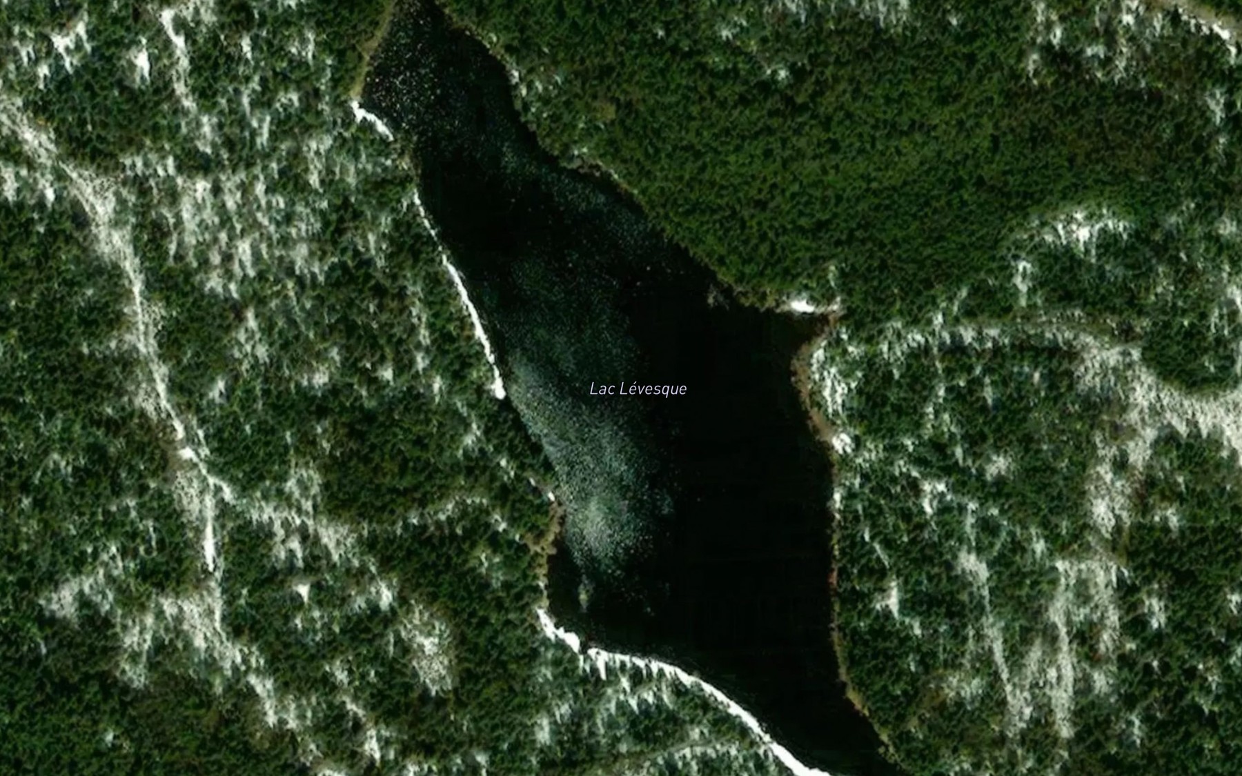 Satellite map of the Lac Levesque
