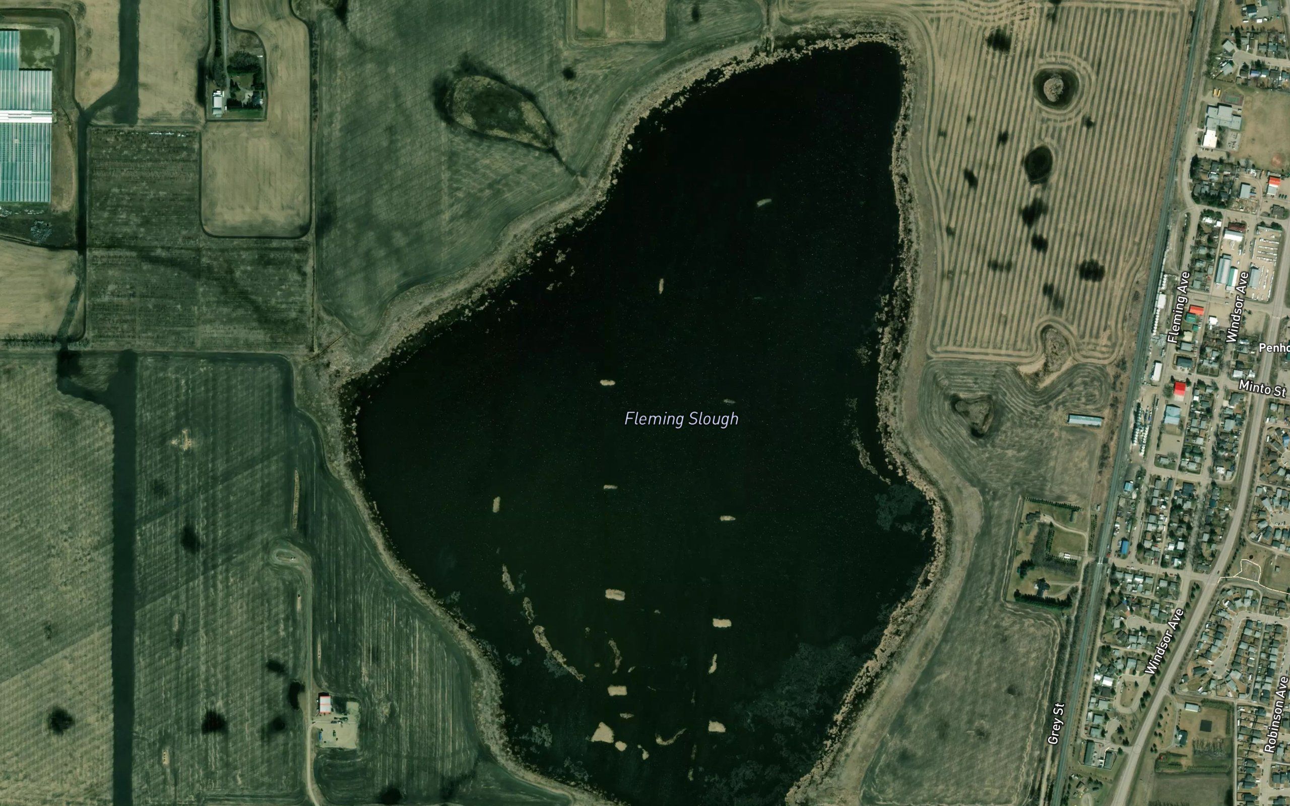 Fleming Slough