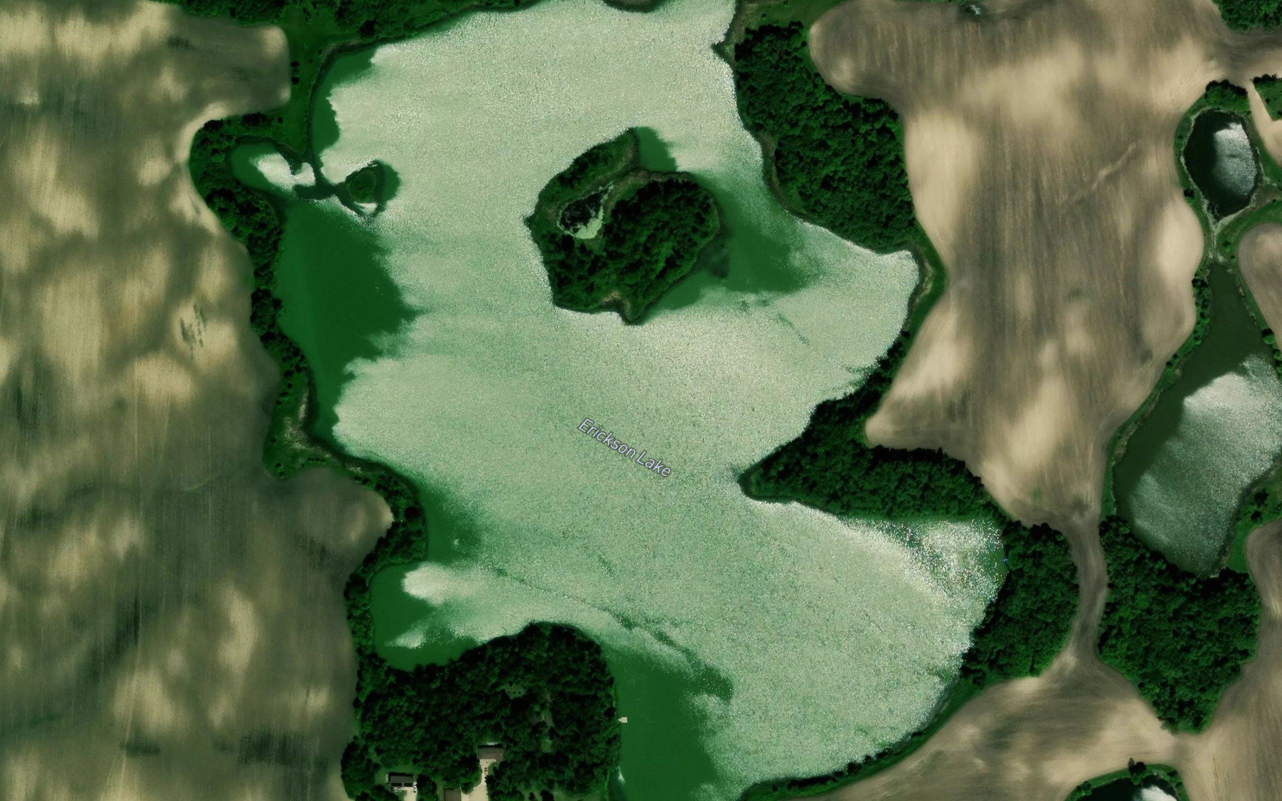 Erickson Lake
