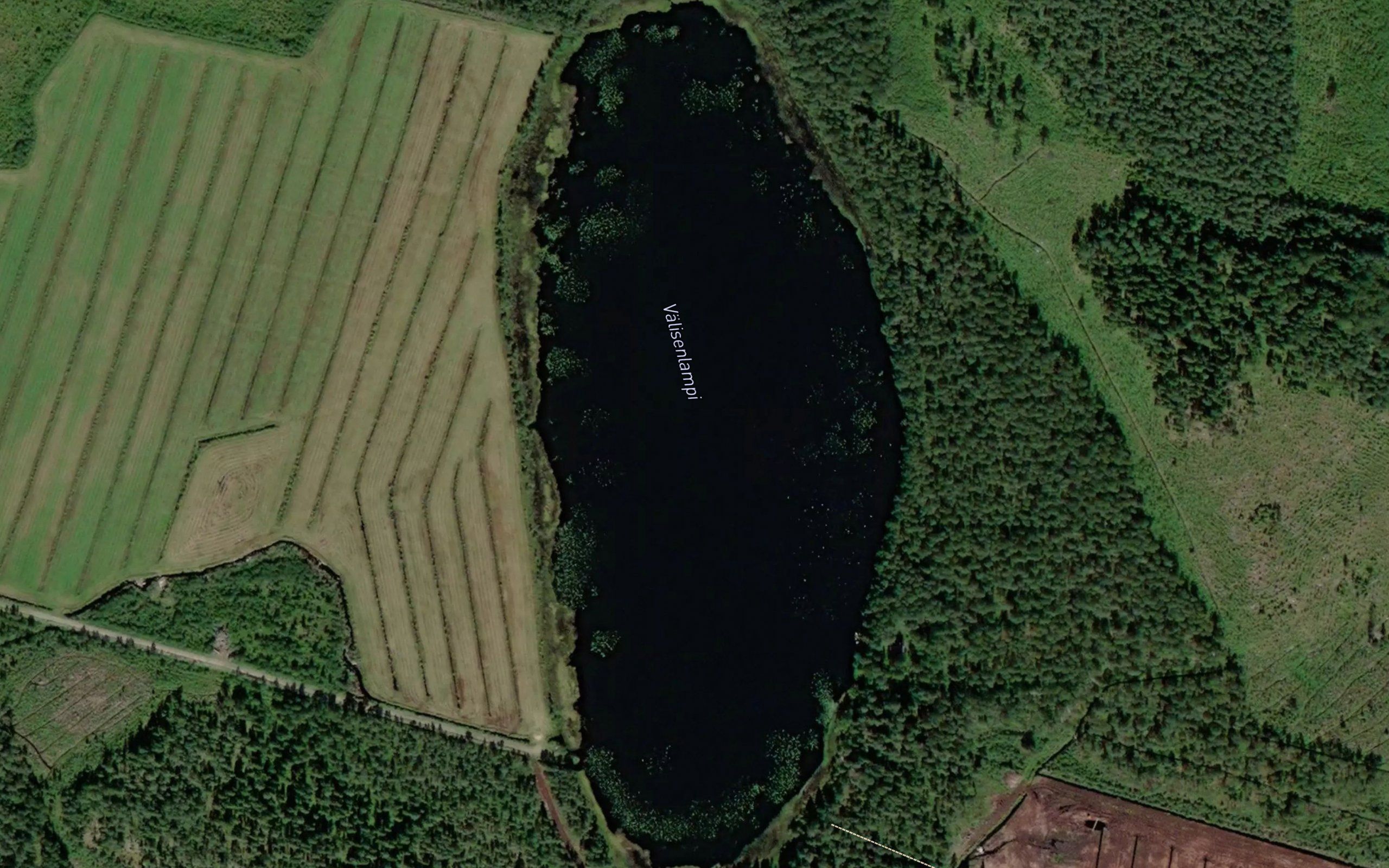 Valisenlampi