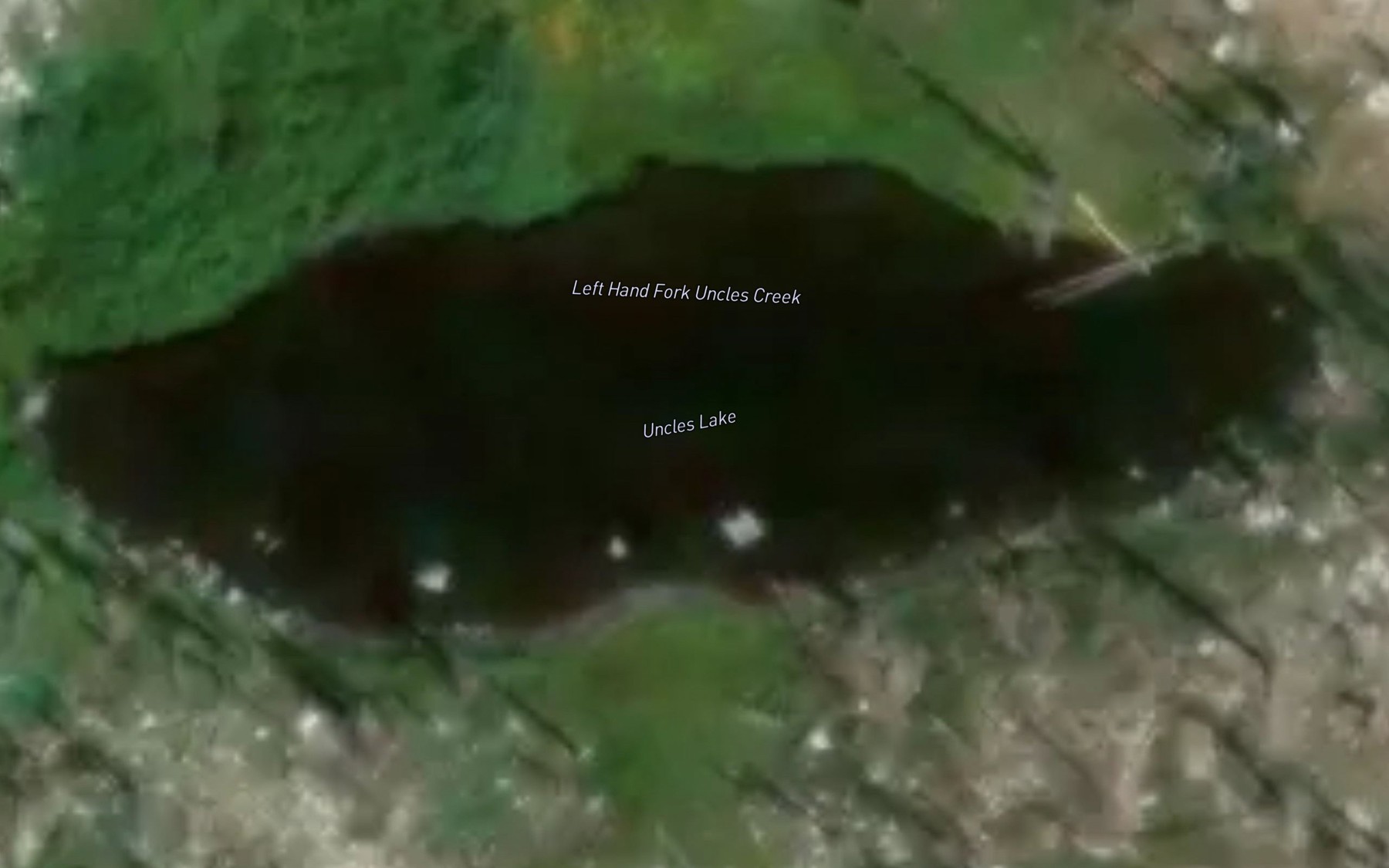Satellite map of the Uncles Lake