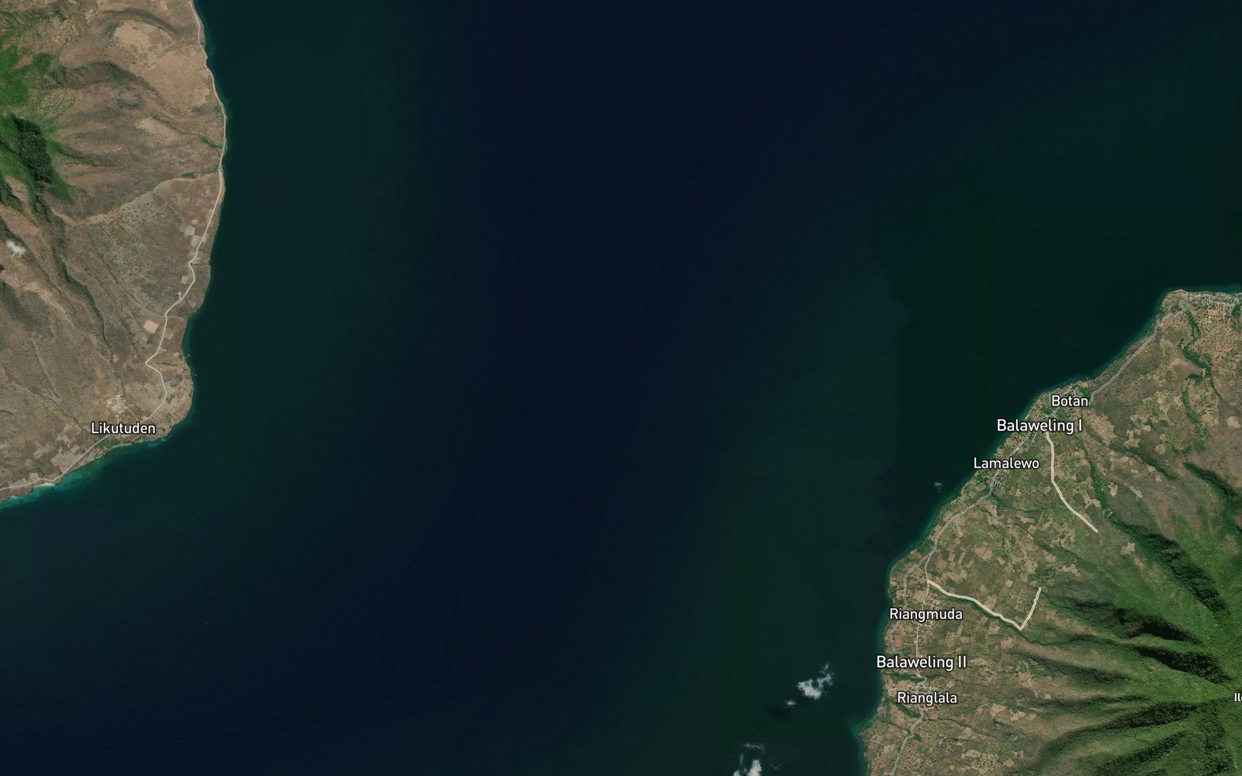Selat Flores