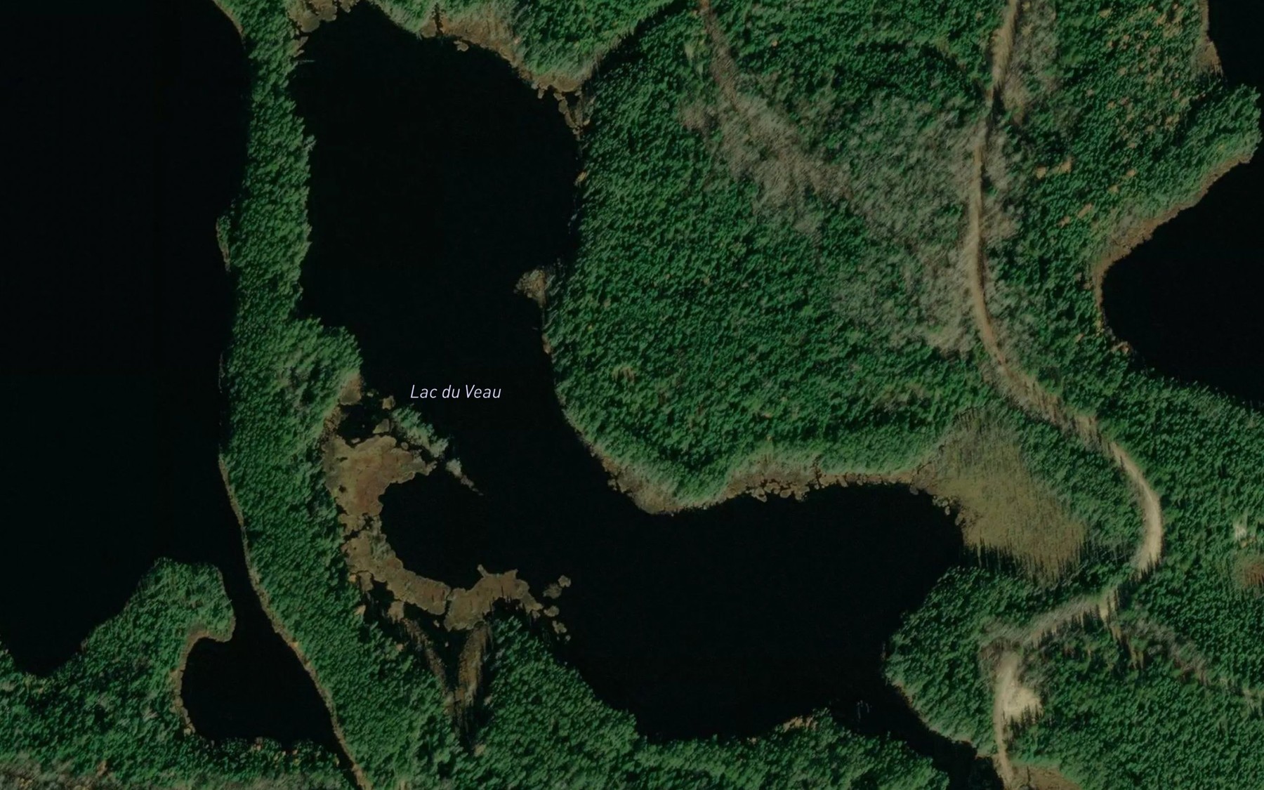 Satellite map of the Lac du Veau