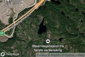 Brulivann