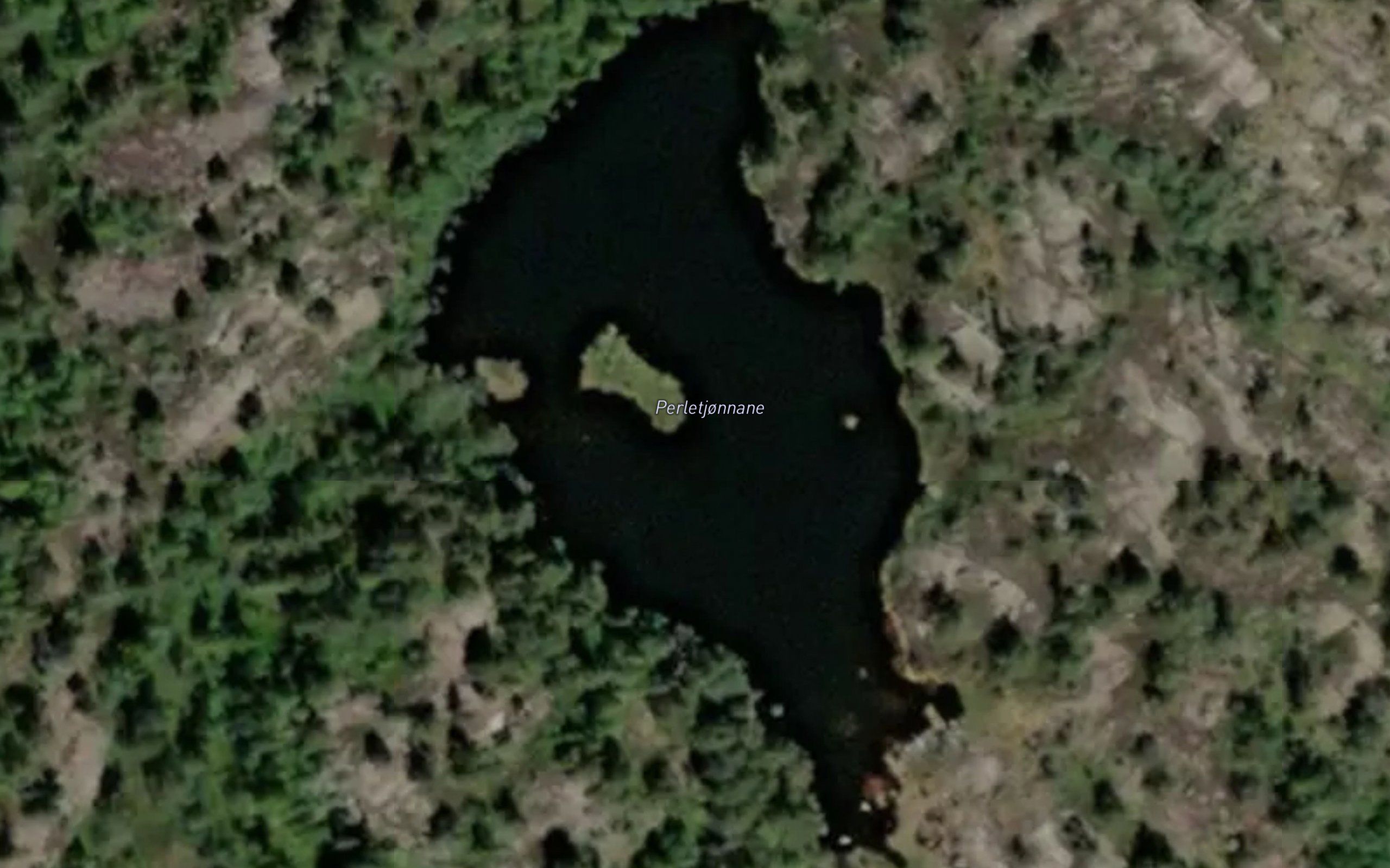 Perletjonnane
