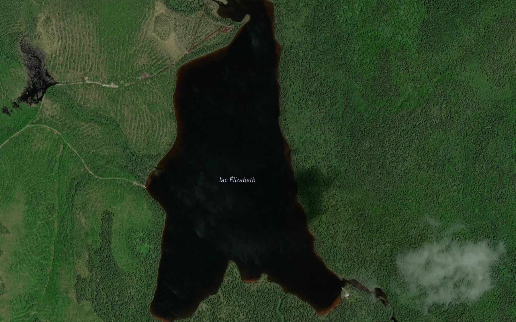 Satellite map of the Lac Elizabeth
