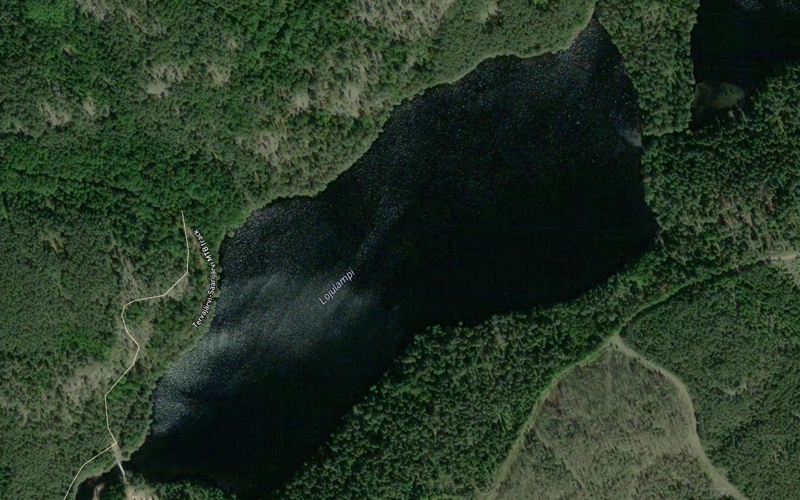 Lojulampi
