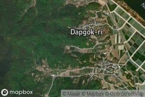 Sodalgolji